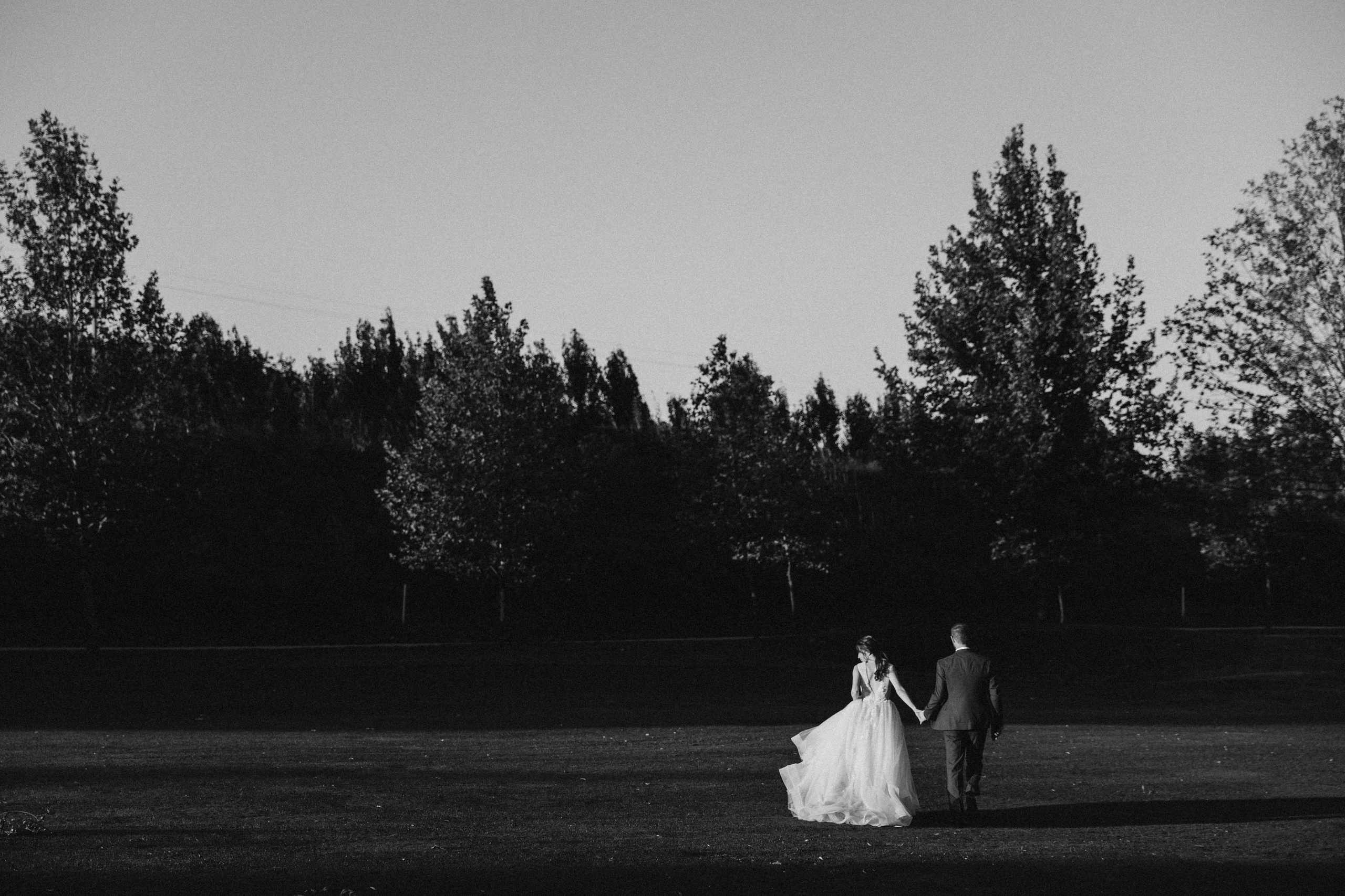 Гольф, шахматы, два штурмовика. Раевский. 2021. Никита Погосов