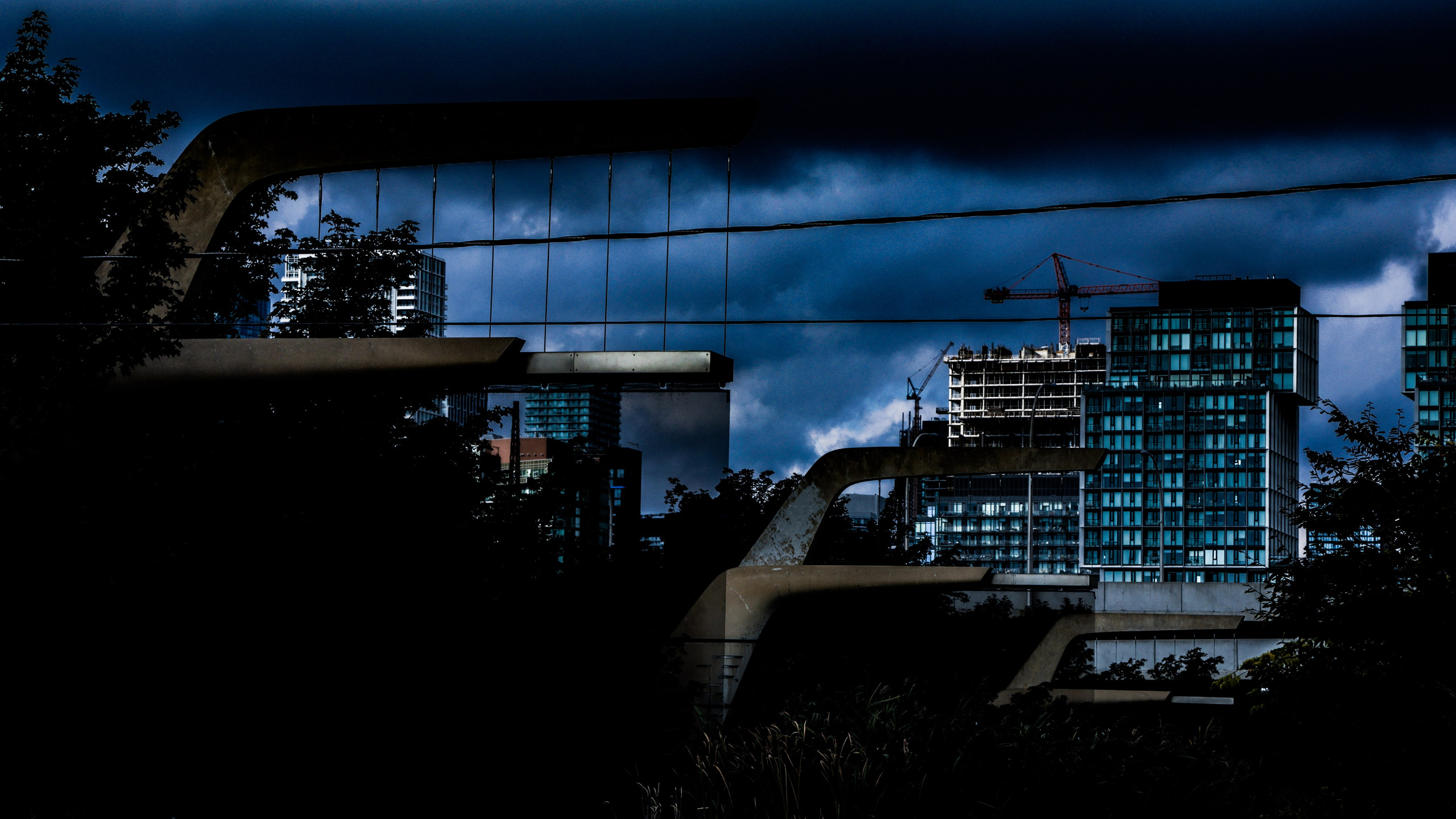 Toronto Blues. Портретный фотограф в Москве Блинова Мария