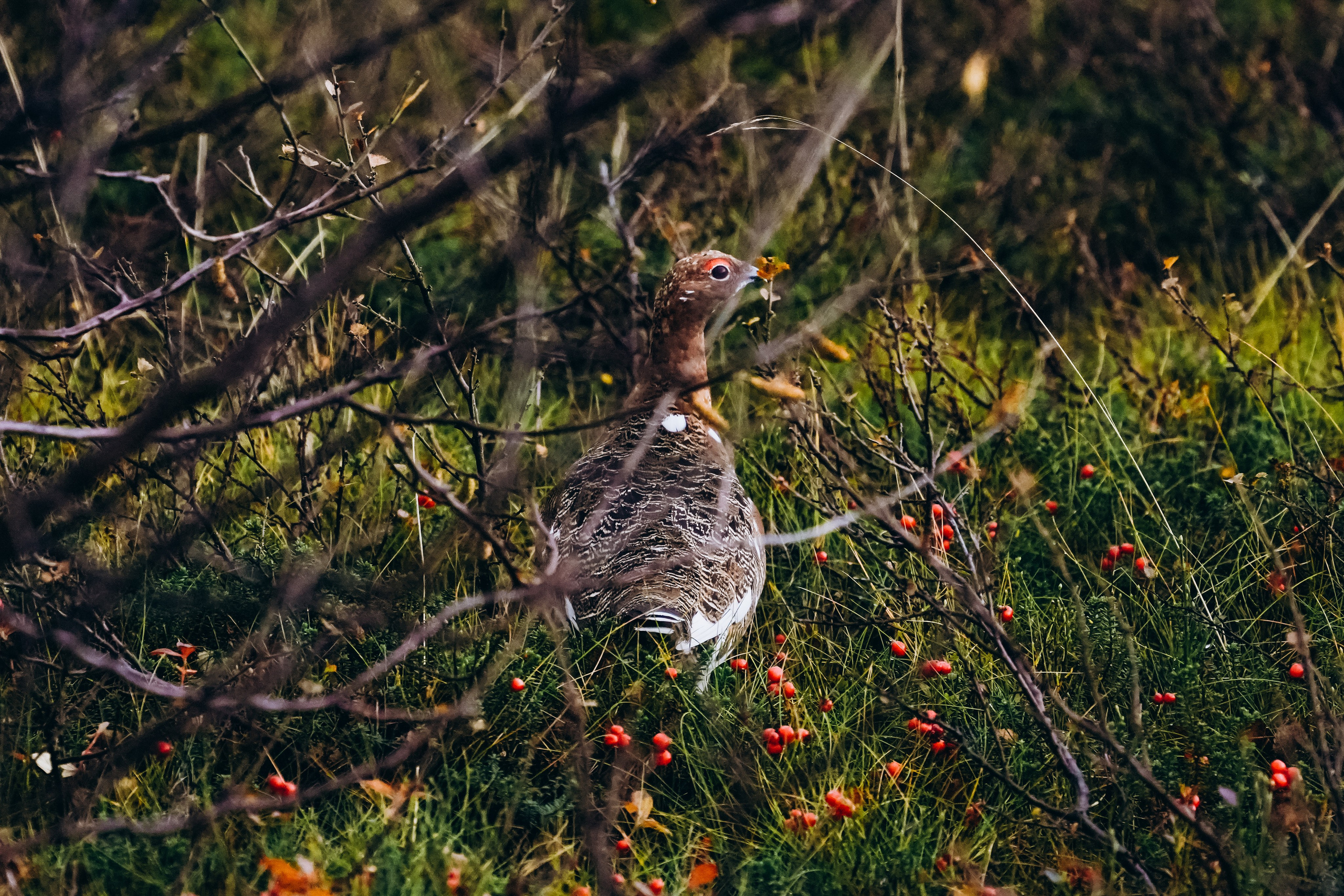 СЕВЕР. Event фотограф Степанова Александра