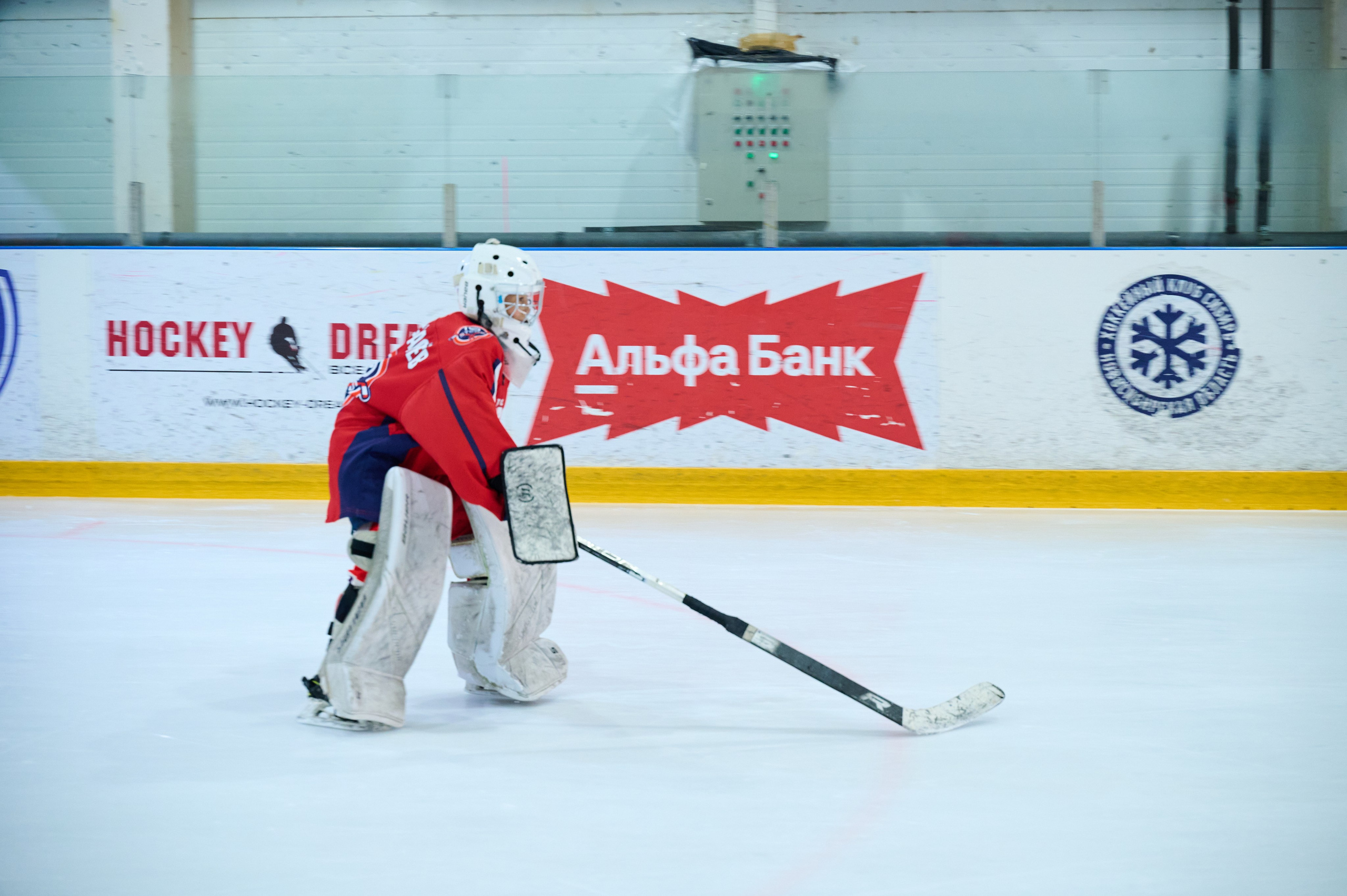 Boston Stars. Фотограф Универсал в Новосибирске