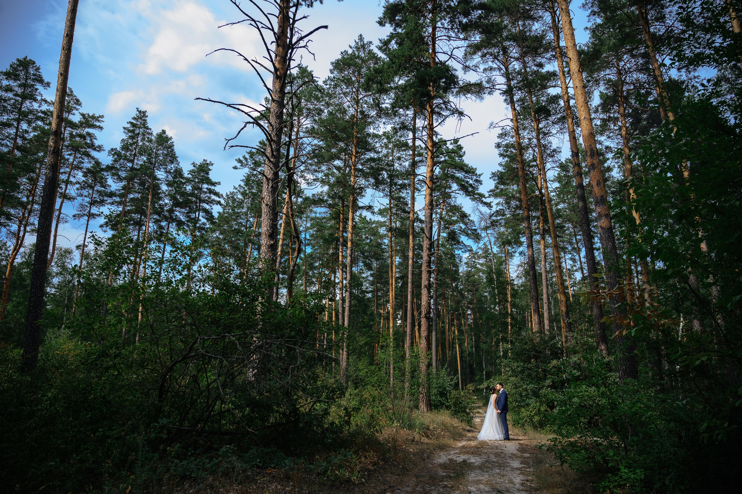 Ярослав и Алина. Фото-видеосъемка свадеб Venson Films