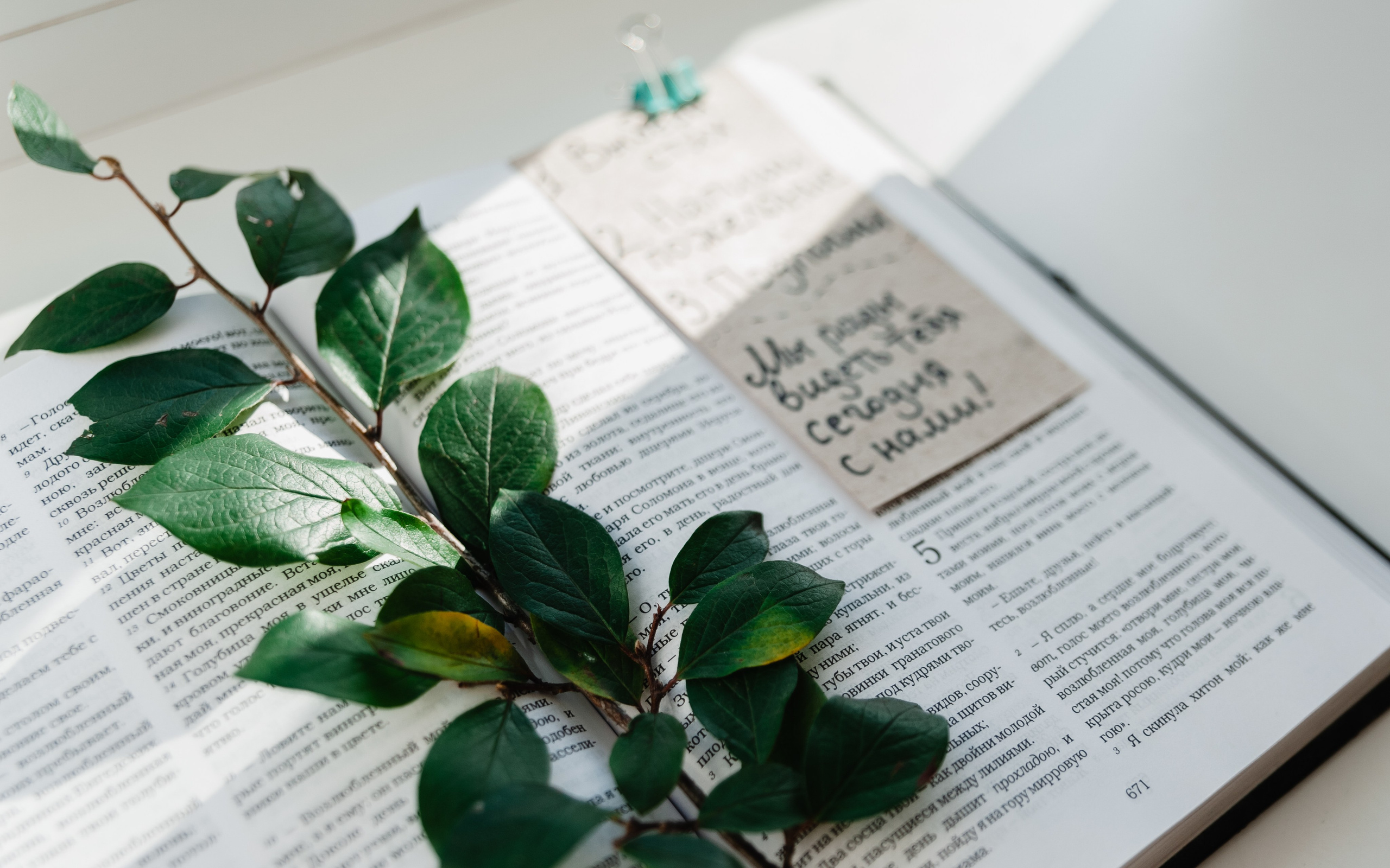 Влад и Женя. Фотограф в Екатеринбурге Артём Зайнетдинов