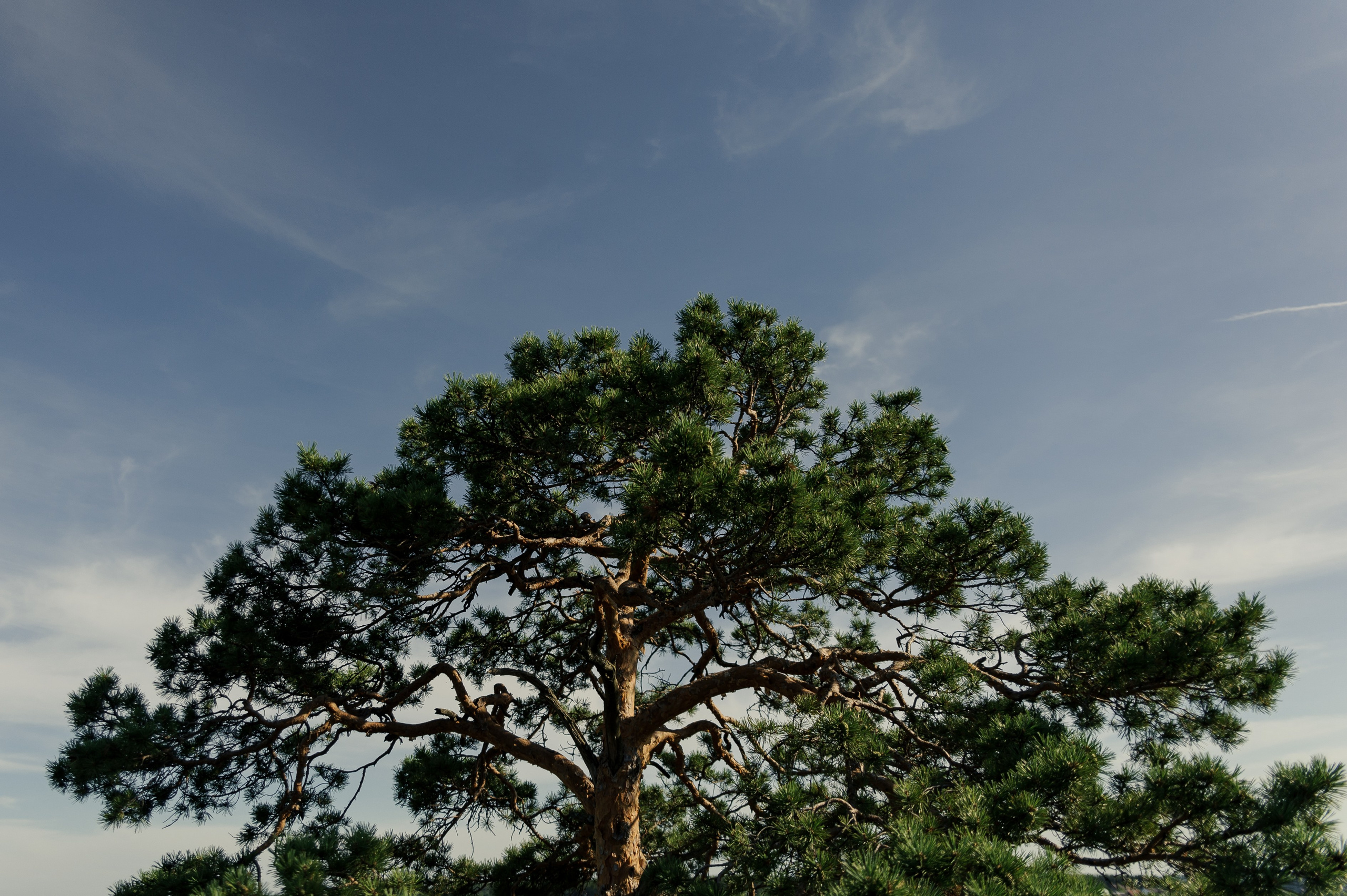 Виталий+Катя. Фотограф в Екатеринбурге Артём Зайнетдинов