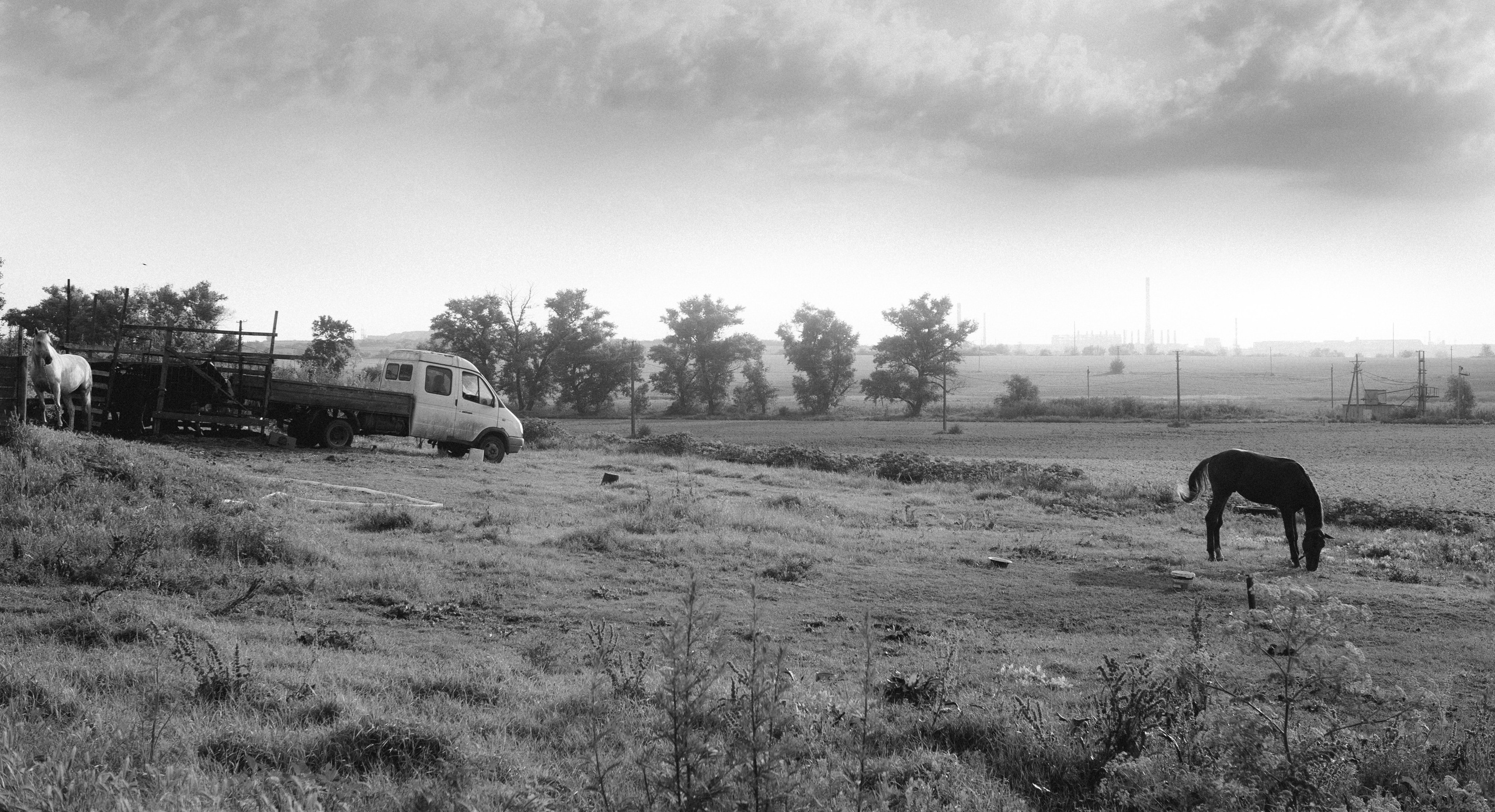 Жизнь. Игорь Гичка. Портрет с любовью