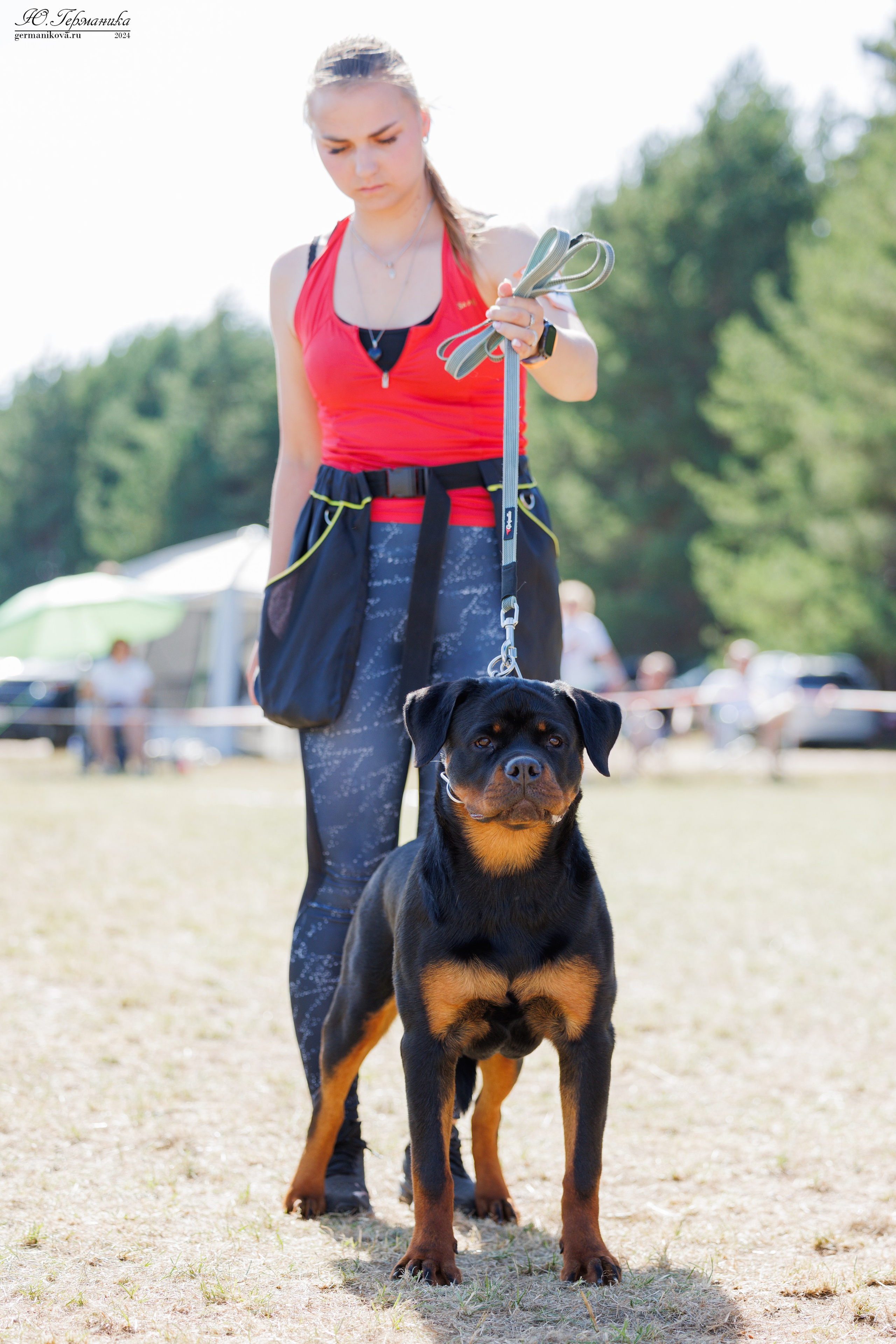 ПК и КЧК ротвейлеры Тверь 6-7.07.2024. Фотограф-анималист Юлия Германика