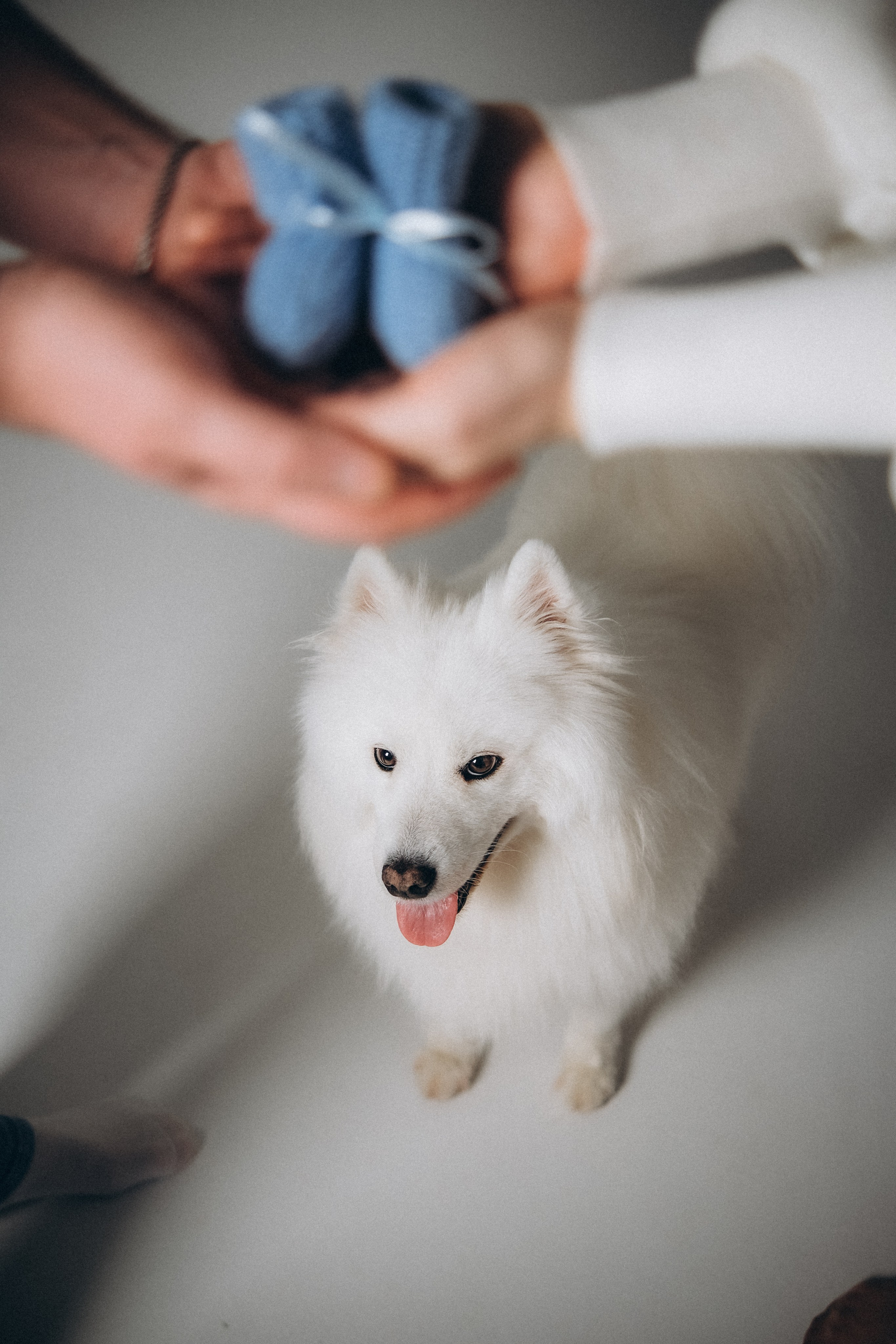 Катя & Андрей. Phdkvmr.ru