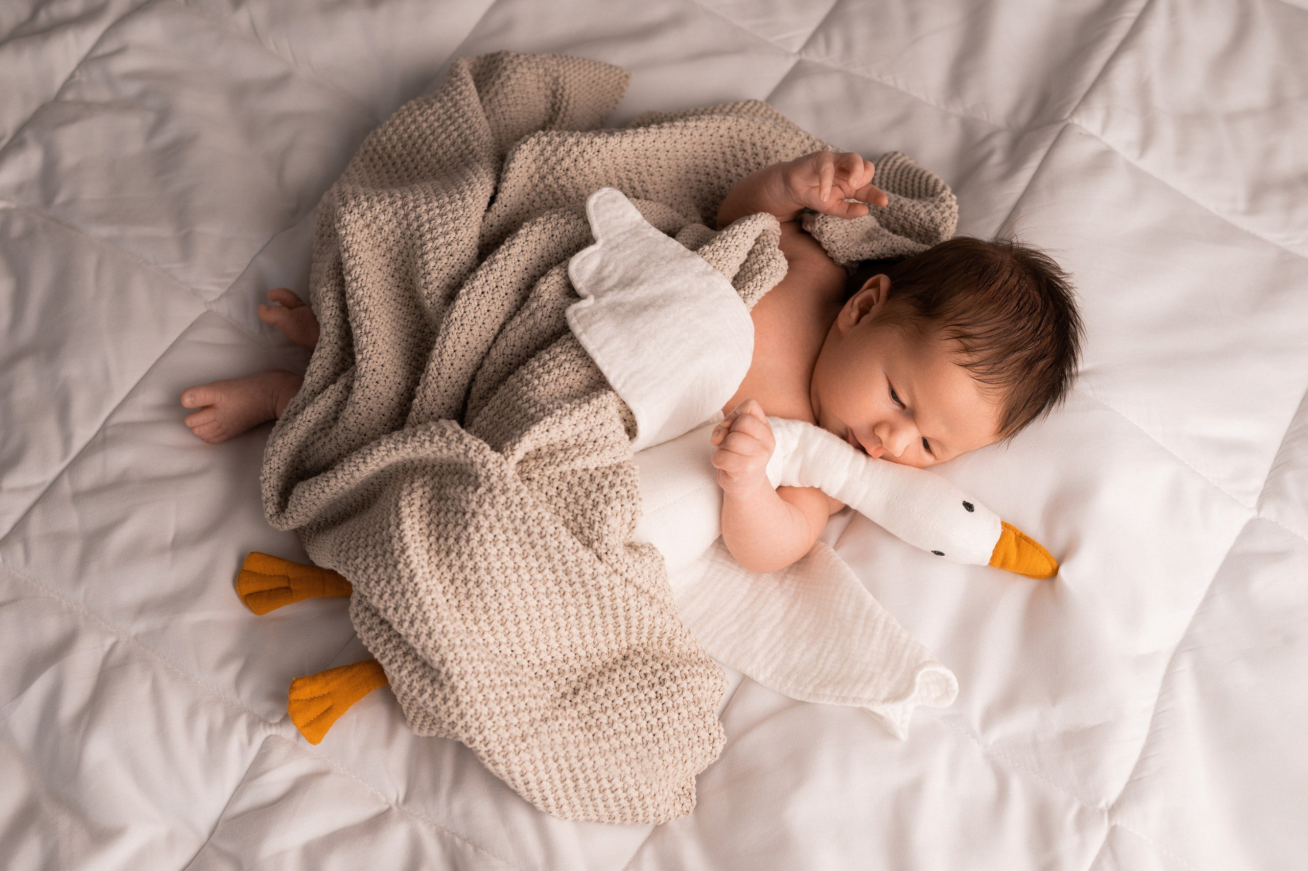 Семейная съёмка с новорожденным спб