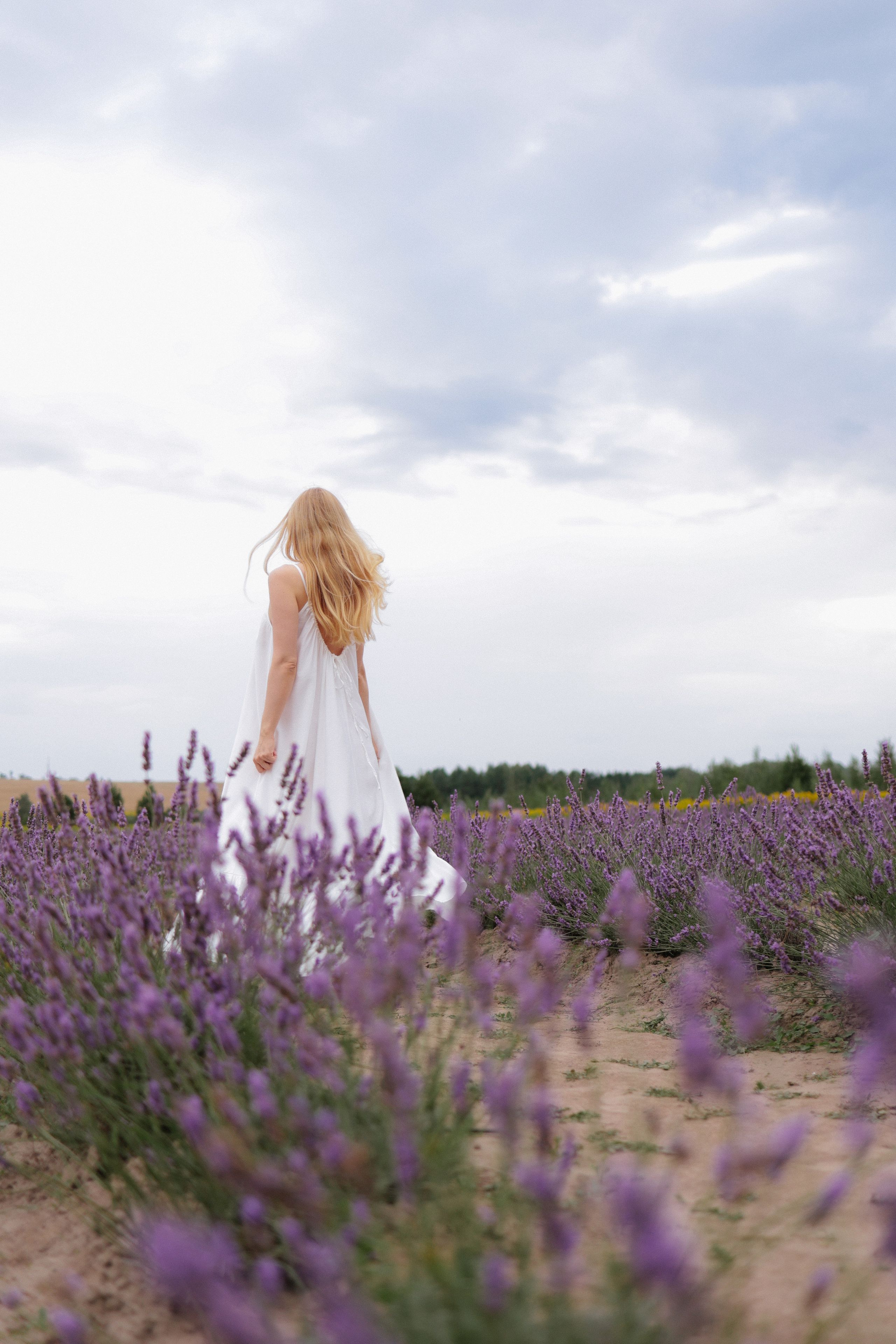Фотоприключение в лаванду. Фотограф и видеограф Елена Лисина
