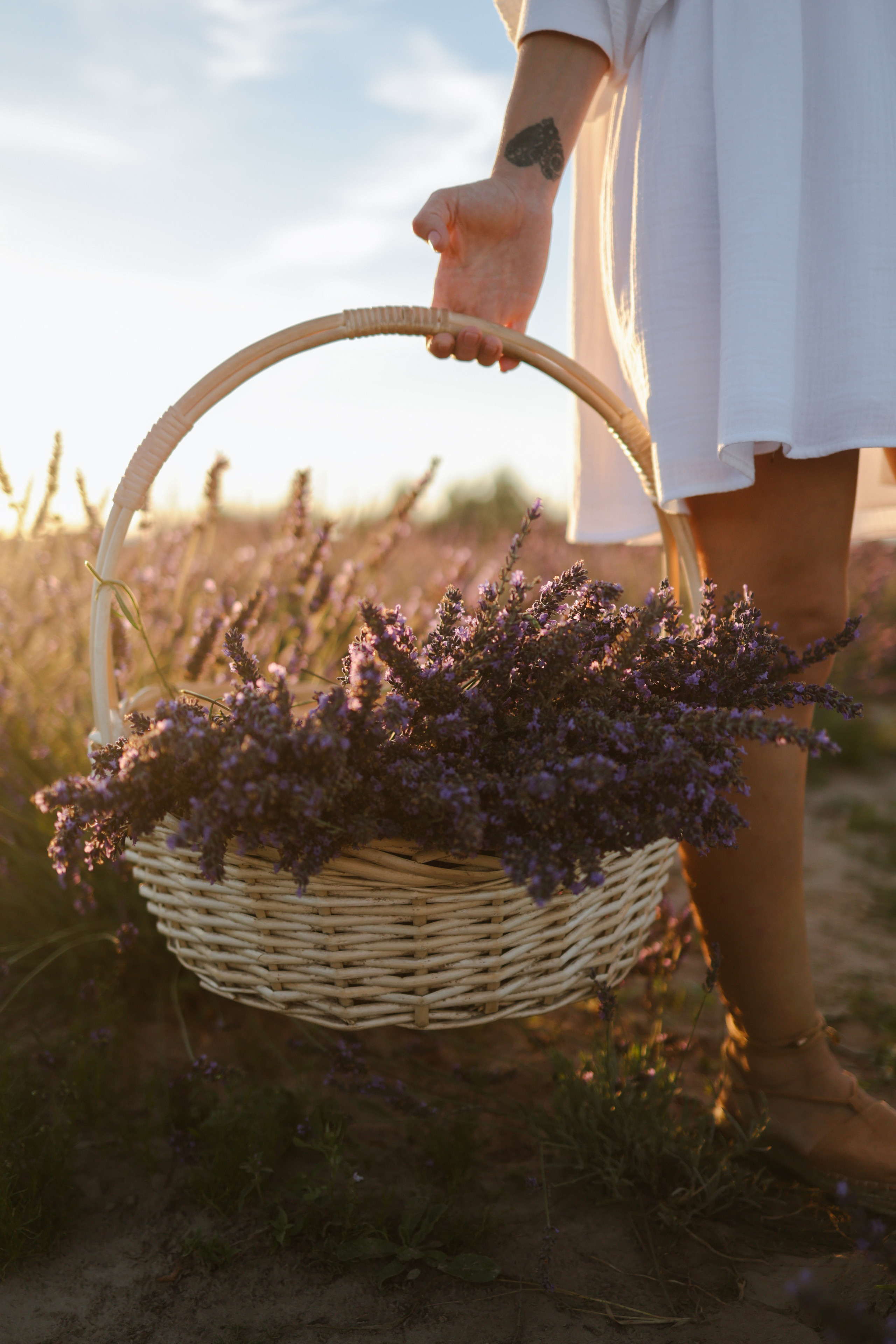 Фотоприключение в лаванду. Фотограф и видеограф Елена Лисина