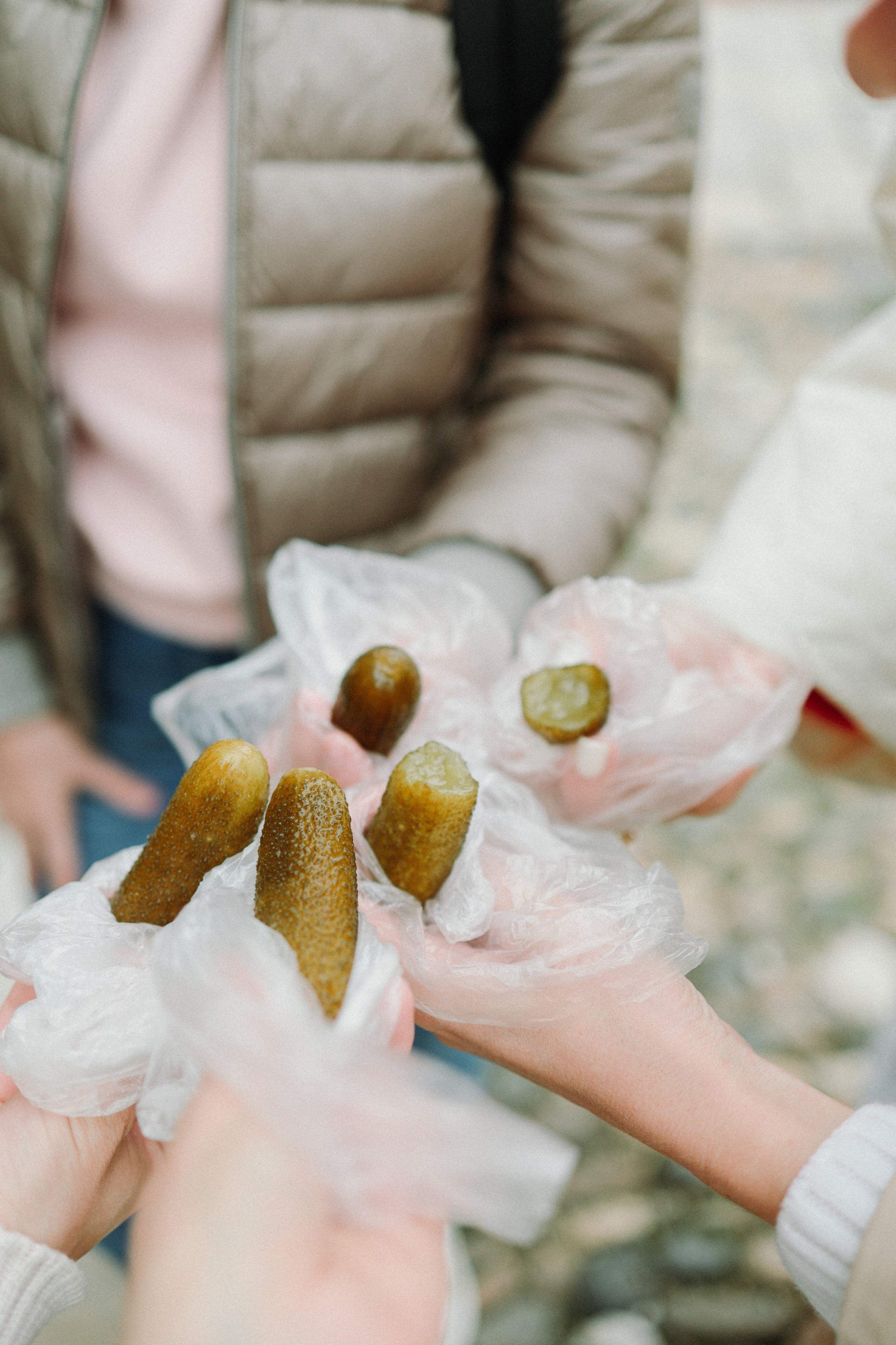 Фотоприключение в Суздаль. Фотограф и видеограф Елена Лисина