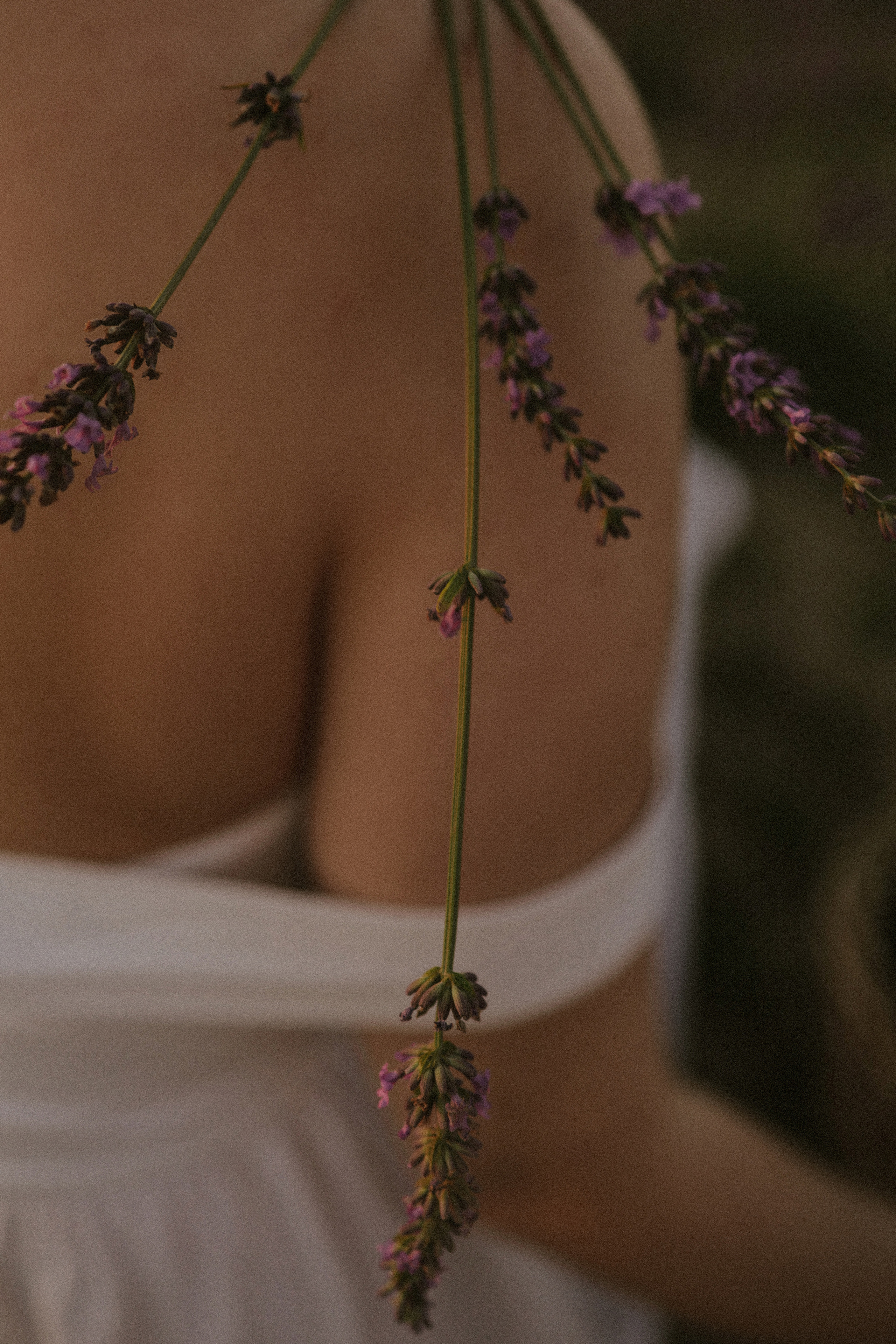 Фотоприключение в лаванду. Фотограф и видеограф Елена Лисина