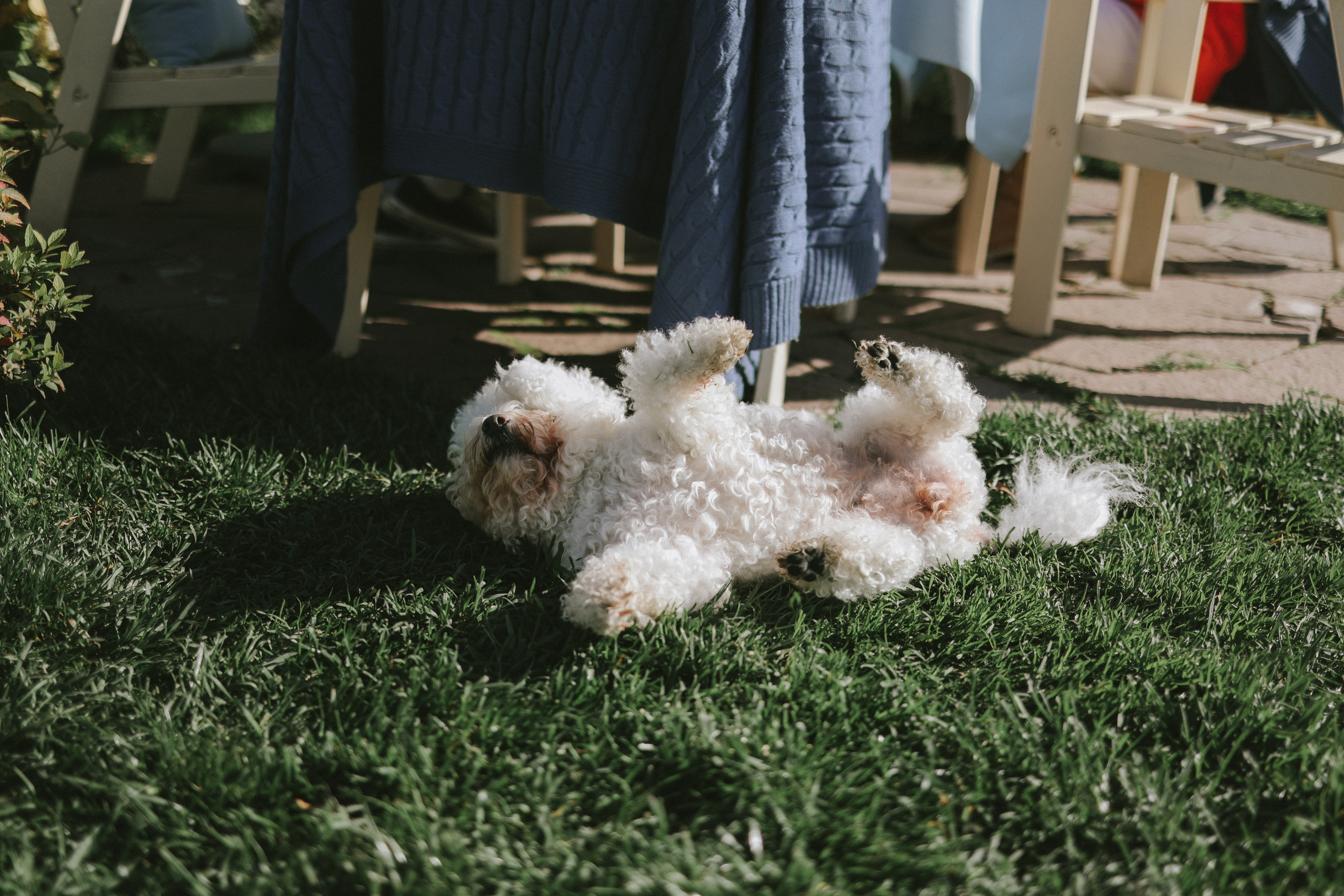 Фотоприключение в Суздаль. Фотограф и видеограф Елена Лисина