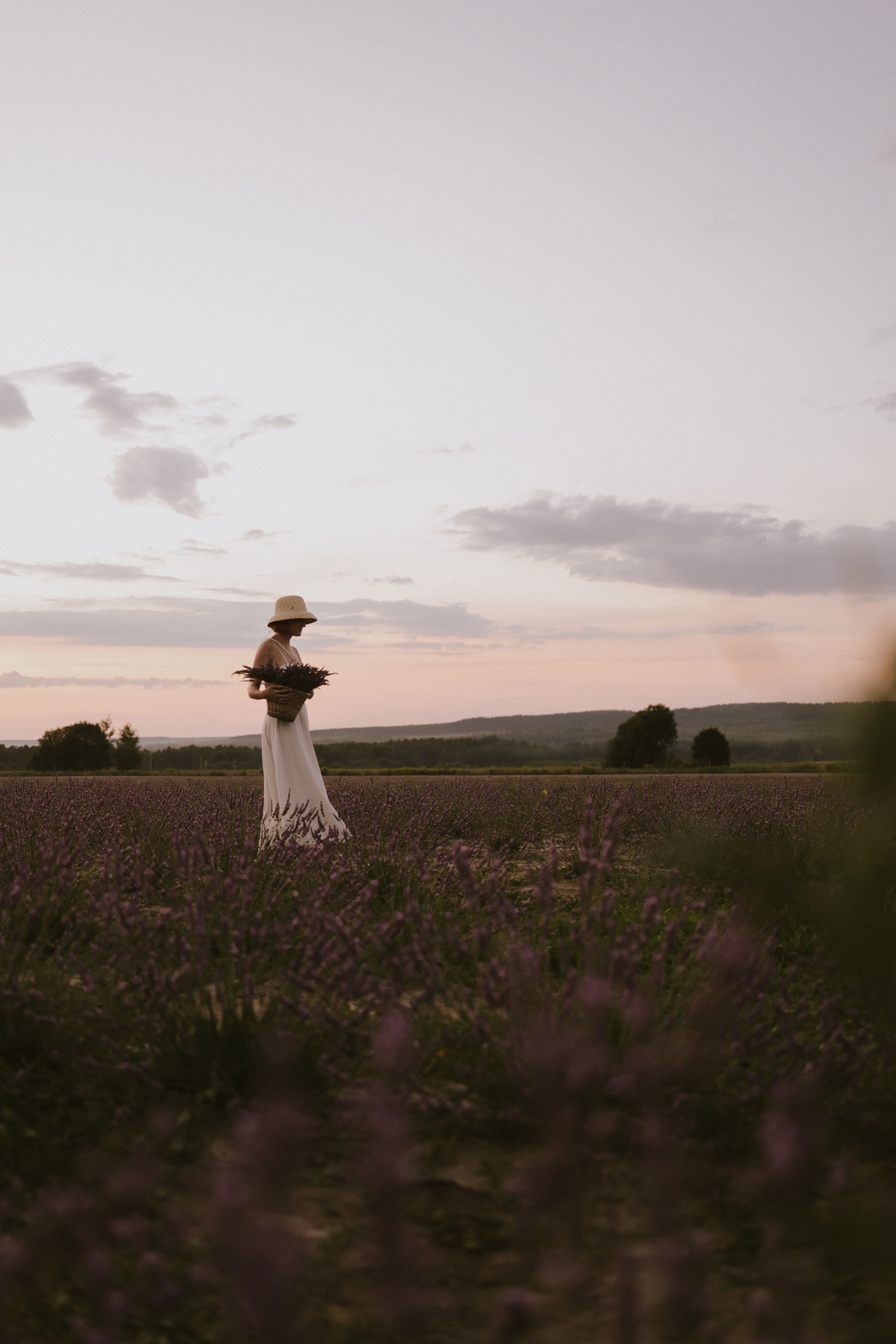 Фотоприключение в лаванду. Фотограф и видеограф Елена Лисина