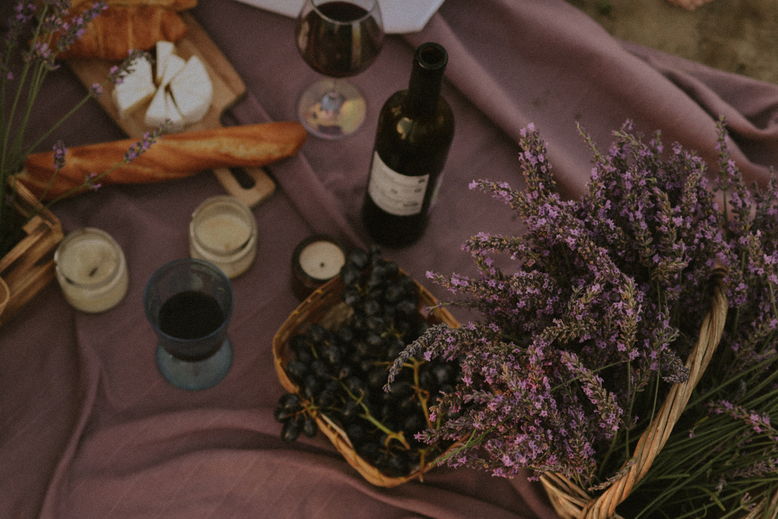 Фотоприключение в лаванду. Фотограф и видеограф Елена Лисина