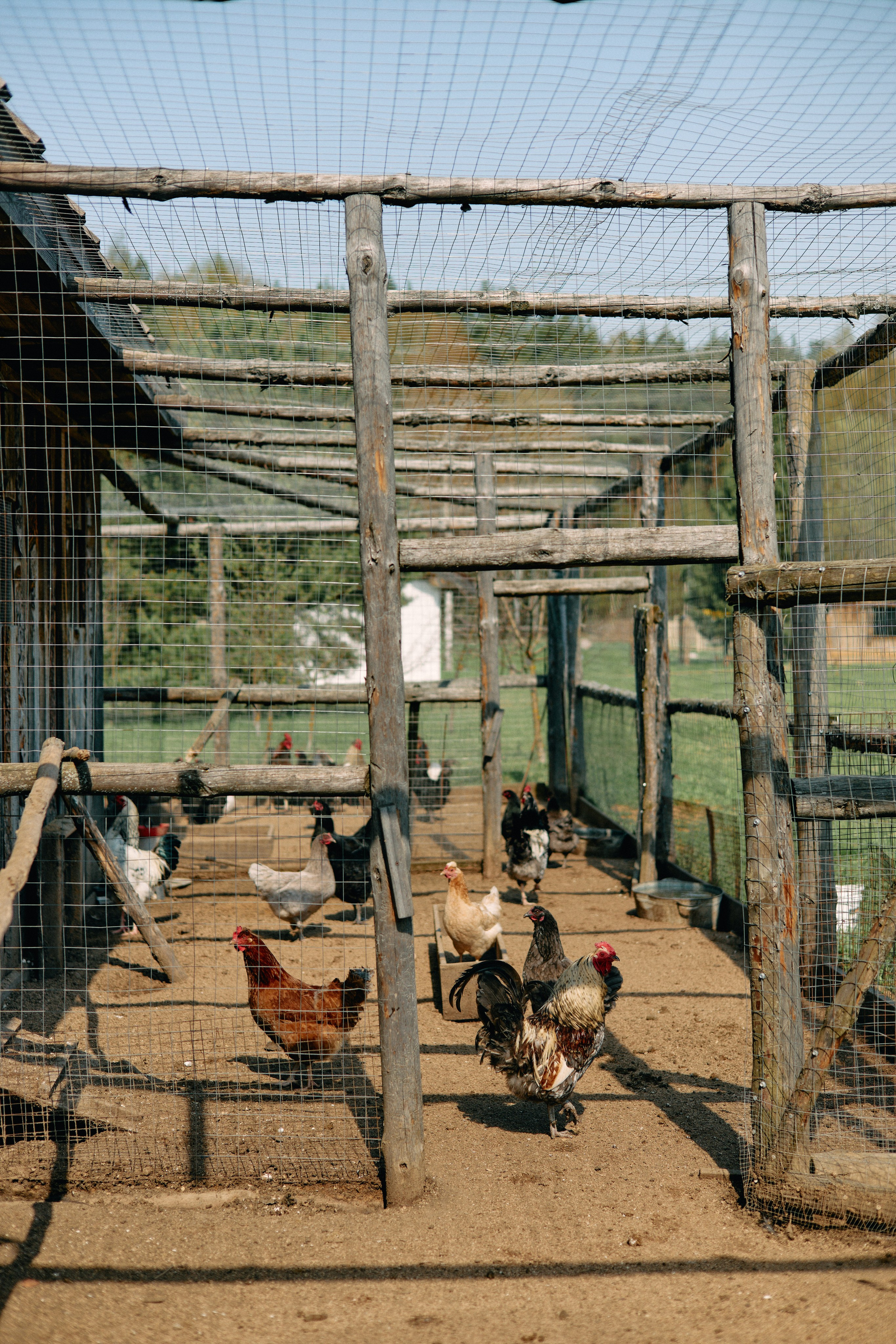 Бутик-отель Поле летом. Профессиональный Фотограф во Владимире, в Москве и в Суздале — Полина Романычева