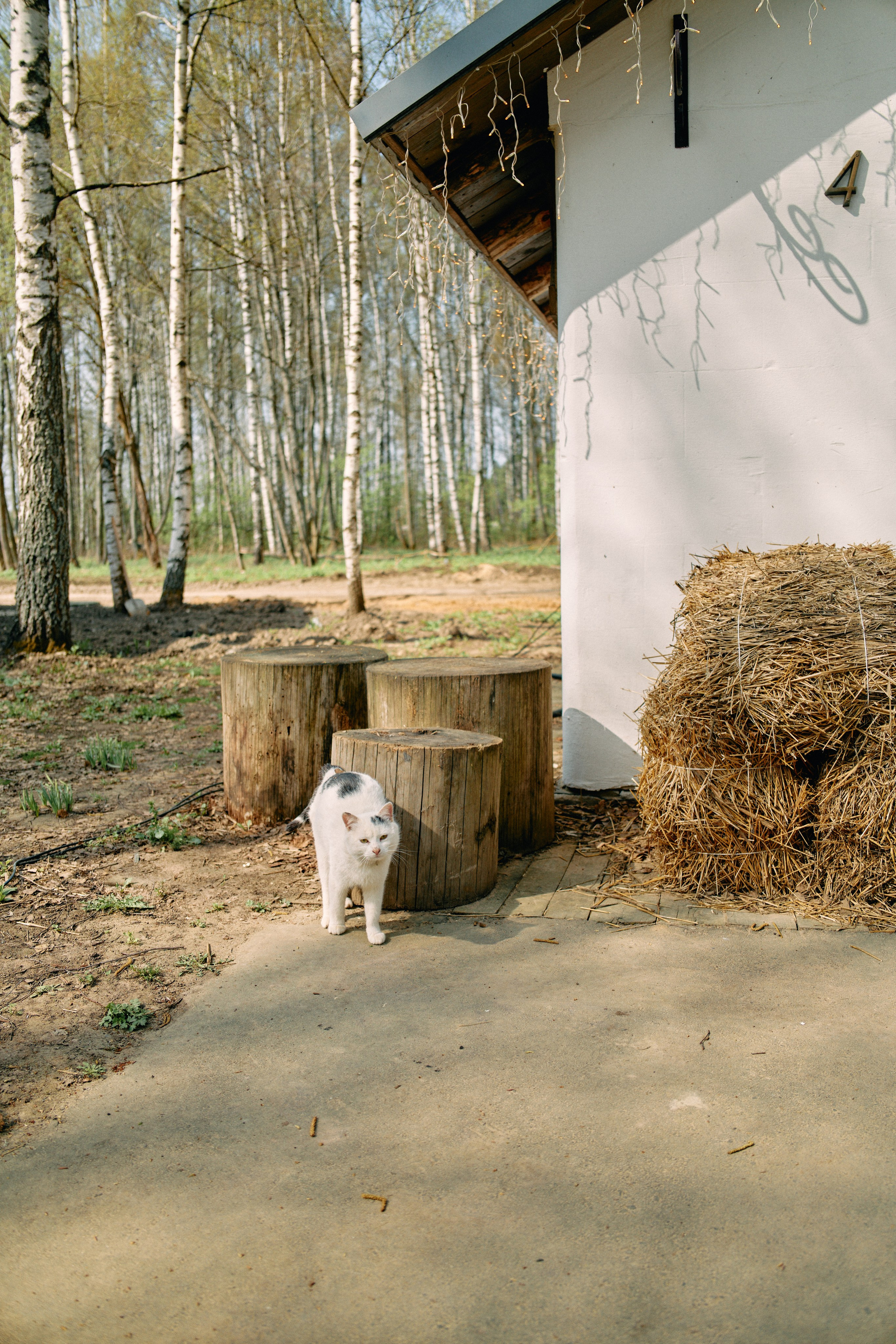 Бутик-отель Поле летом. Профессиональный Фотограф во Владимире, в Москве и в Суздале — Полина Романычева