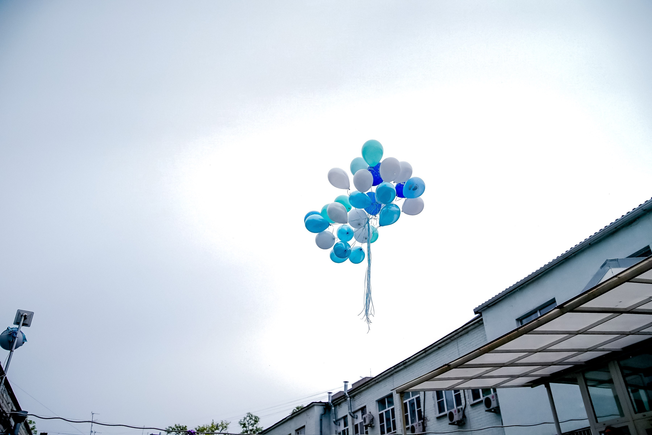 Выписка. Максим Матвийченко и Виктория Басова профессионалы своего дела