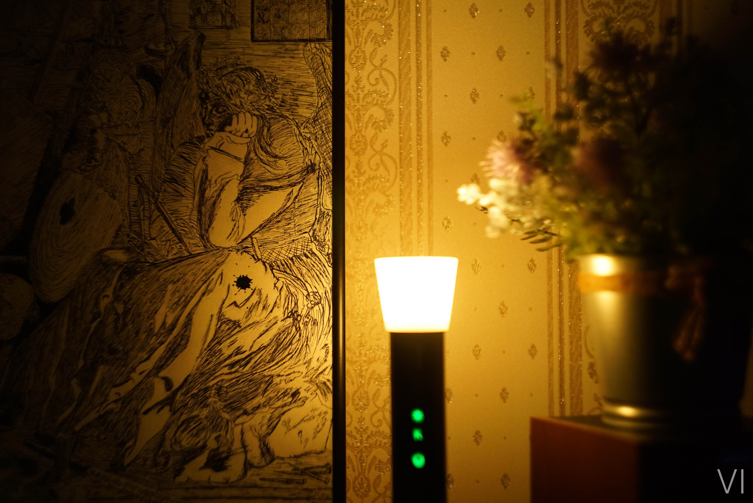 VI selected, February 25. Концертный и репортажный фотограф Воронин Игорь