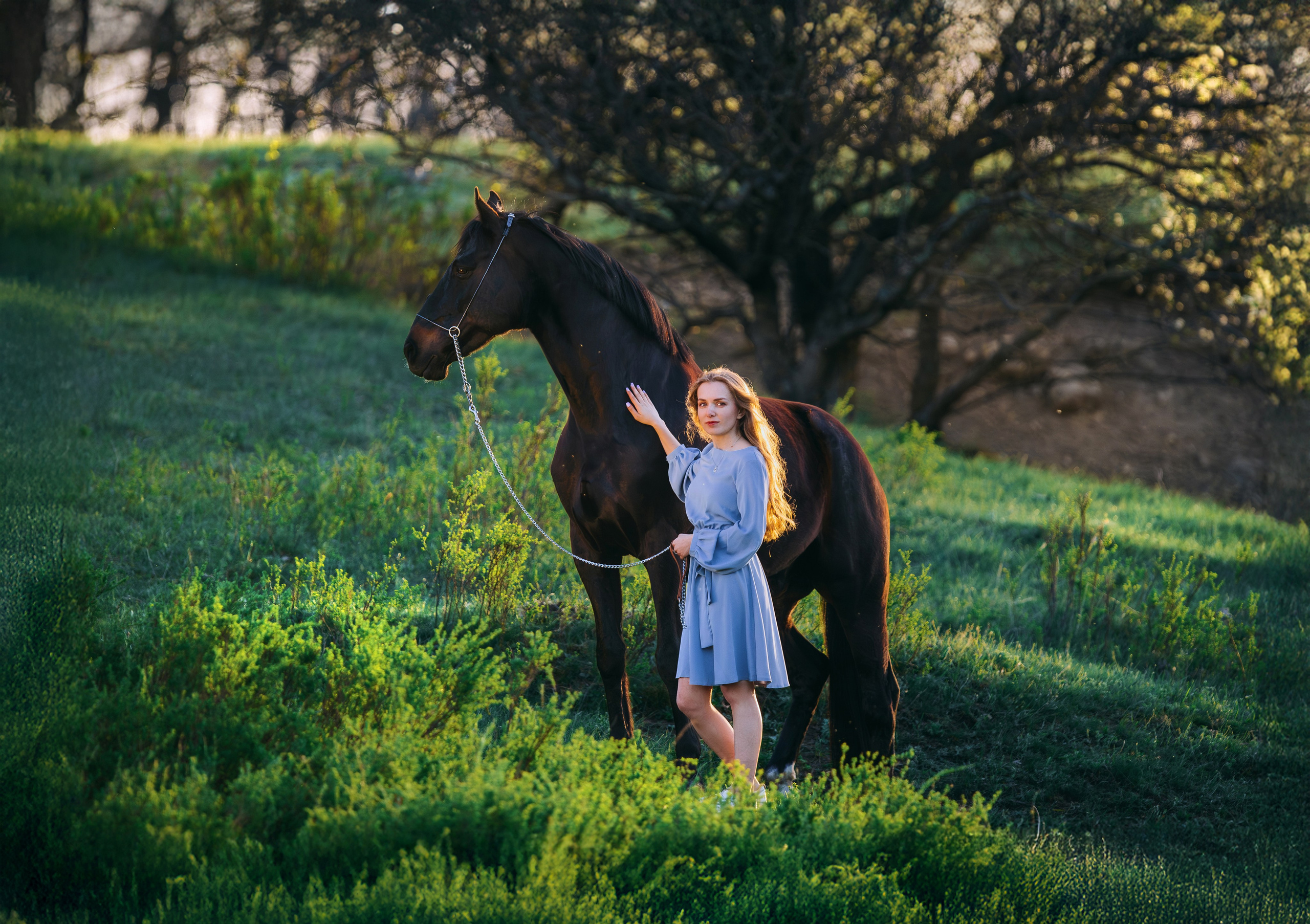 Вероника и Брэй. Фотограф-анималист Ксендзова Кристина