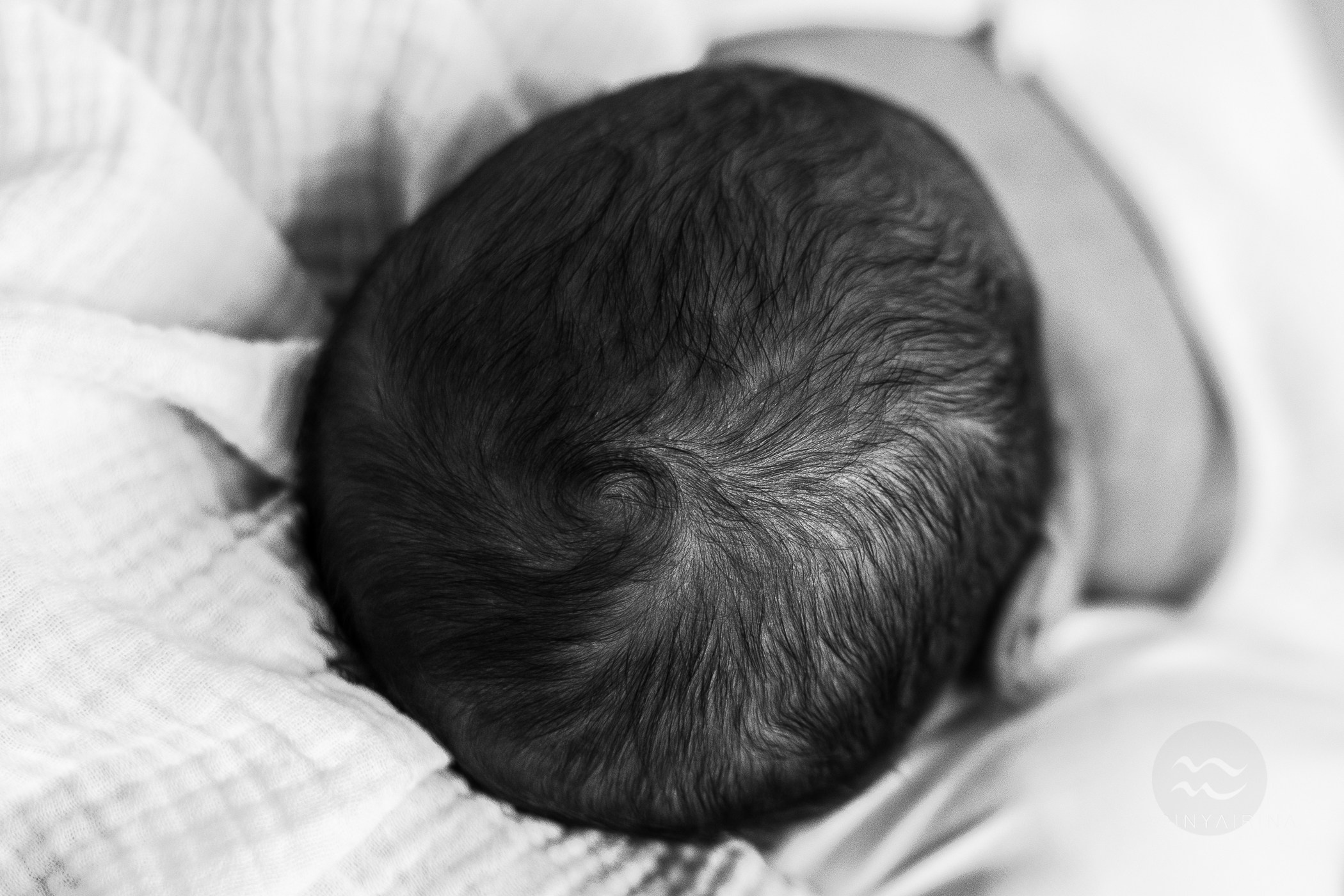 Стоимость услуг фотограф Москва. Фотограф на роды Москва. Фотограф новорожденных Москва