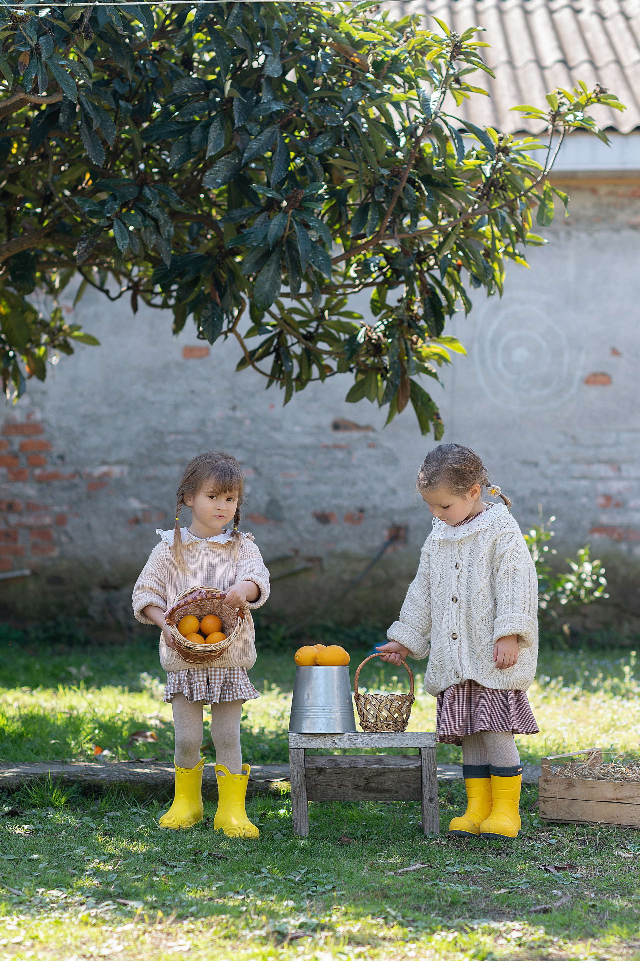 Курочки. Детский фотограф Абхазия