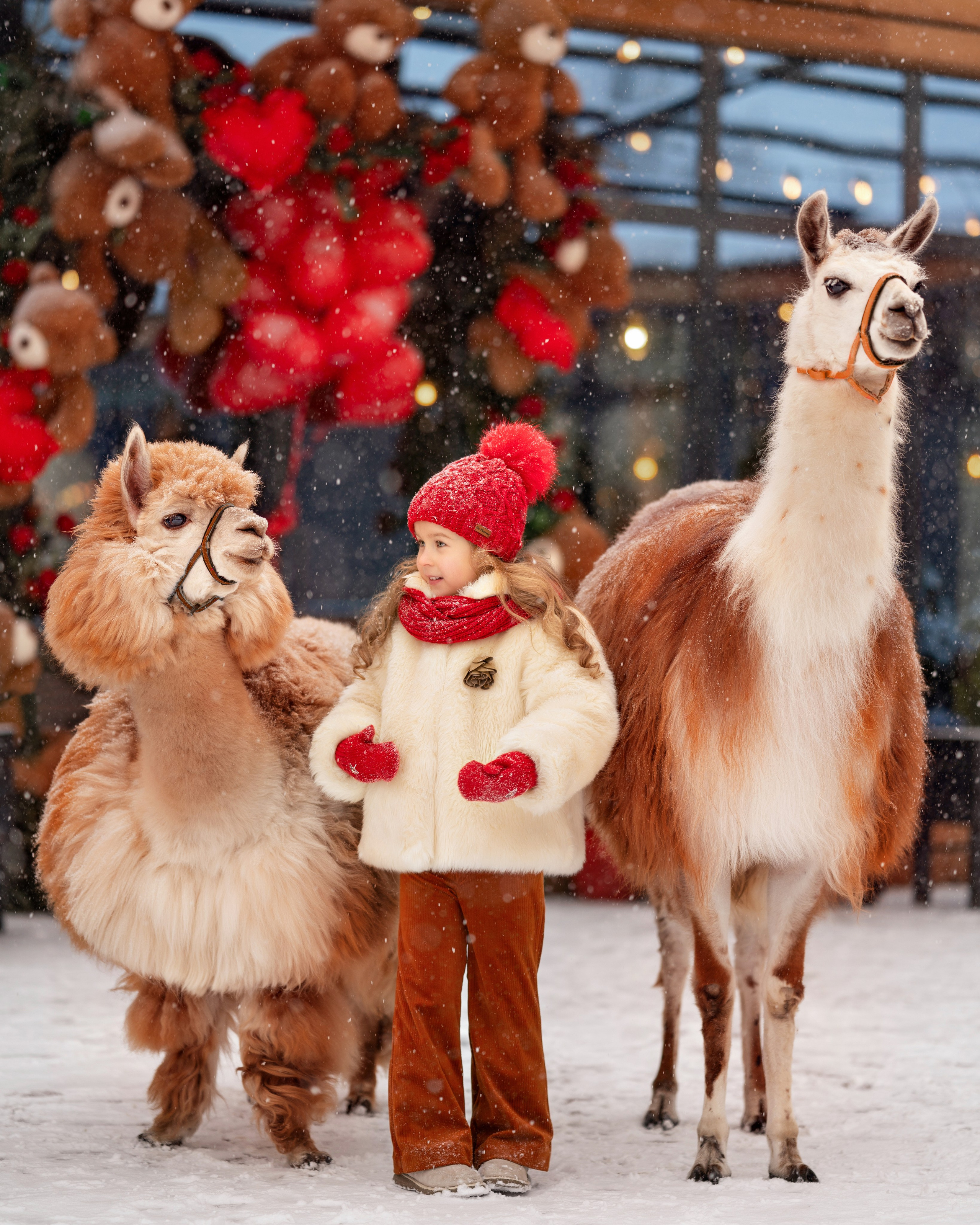 Фотосессия с альпаками в  YOO студии. Детский и семейный фотограф г. Москва Оксана Катаджи