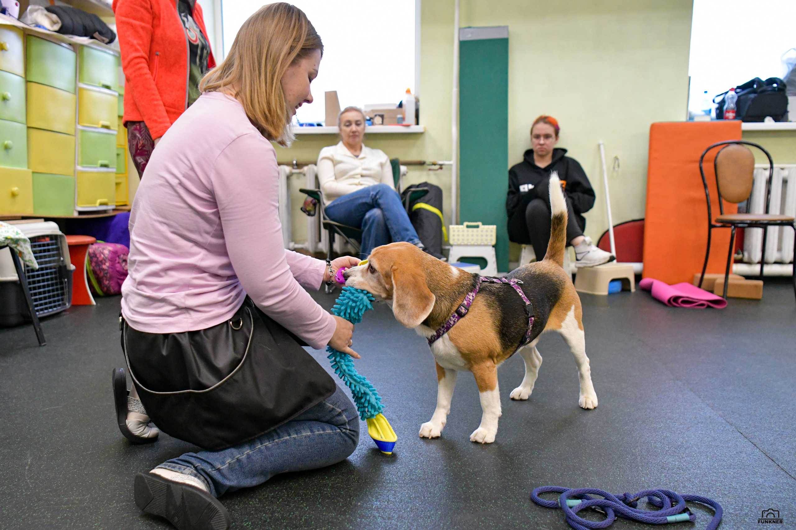 Кинологический клуб «Бодрый хвост». Свой взгляд через объектив