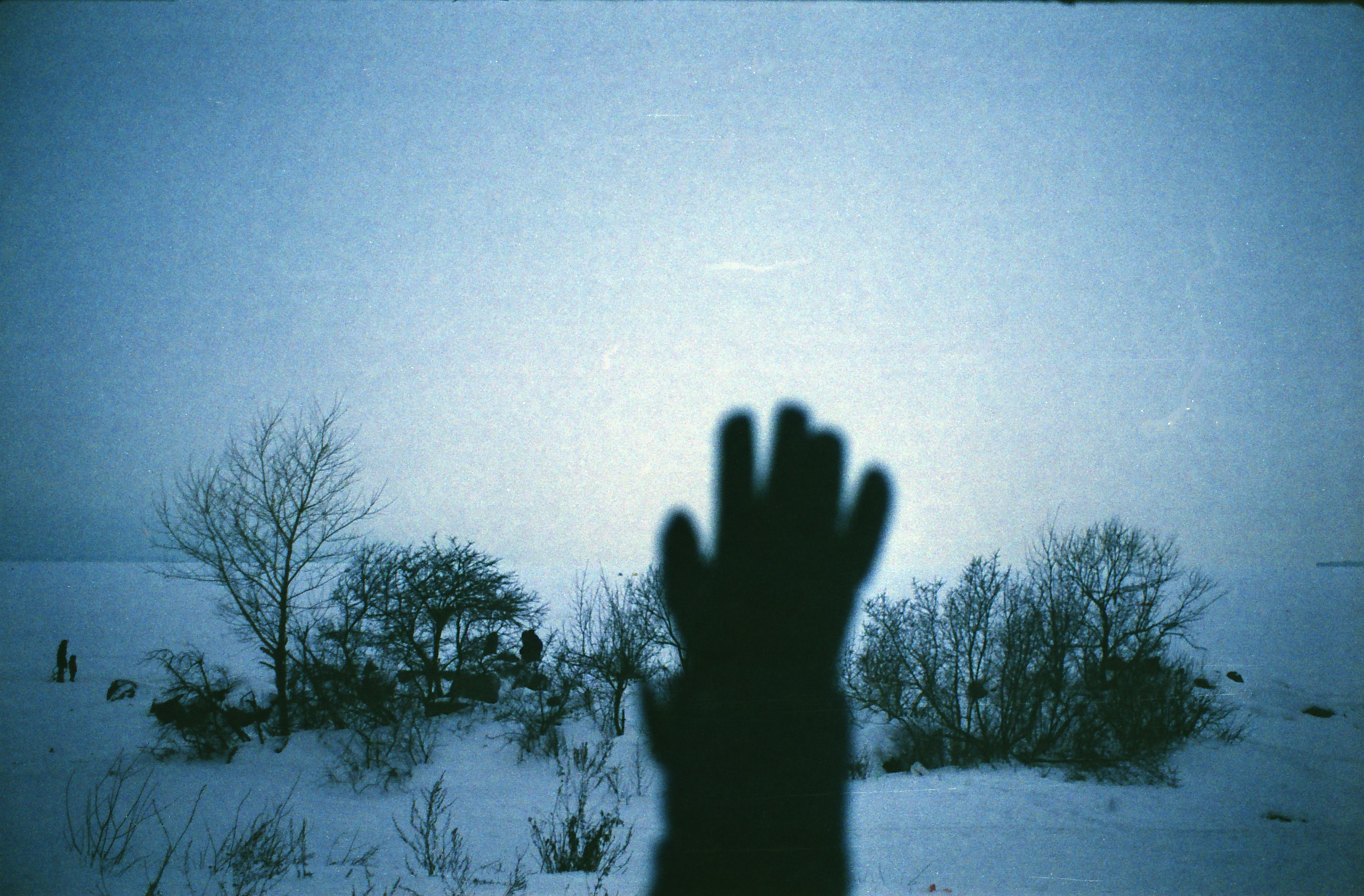 Spaces and faces 2013-∞. Наталья Рутова