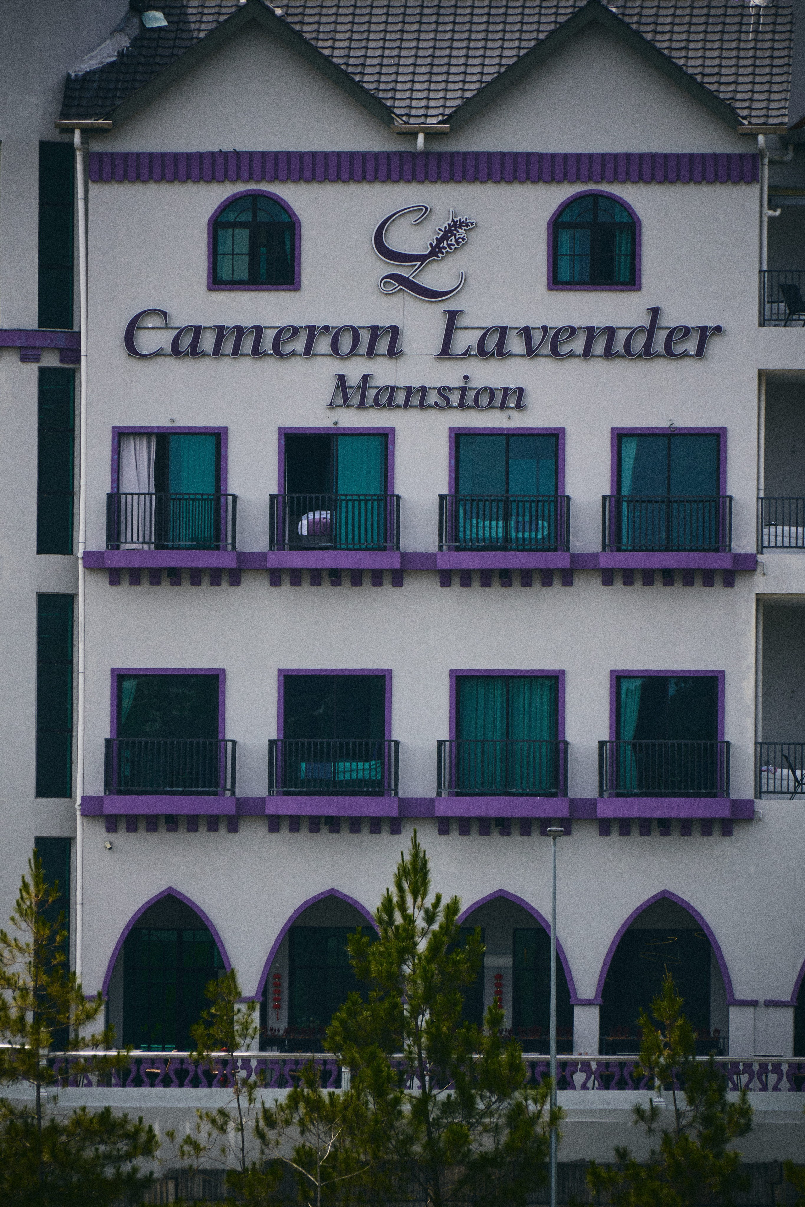 Lavender Mansion. See the moment and catche. commercial and reportage