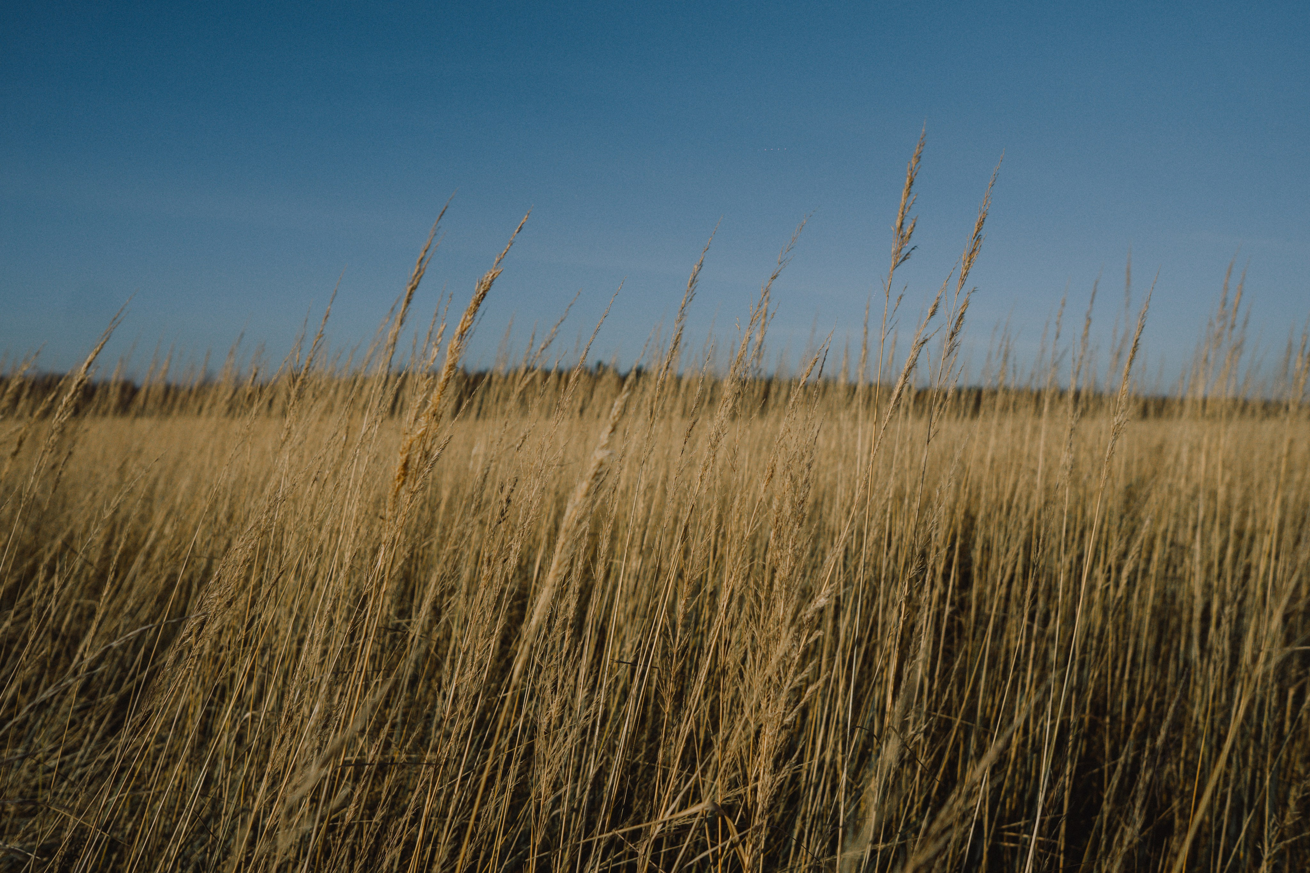 Репортажный и интерьерный фотограф, фотохудожник