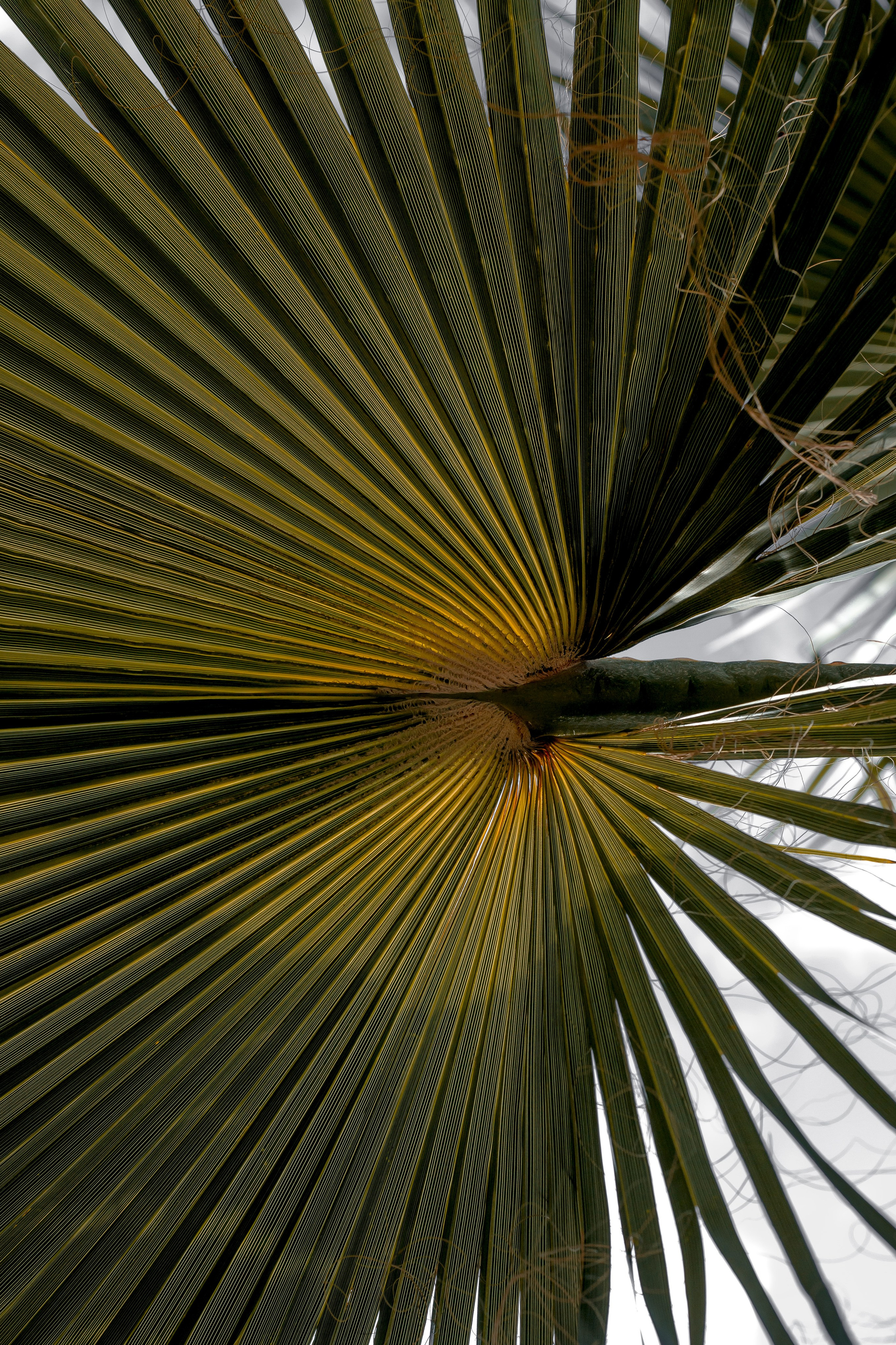 Turkey, Alanya. Art Photographer