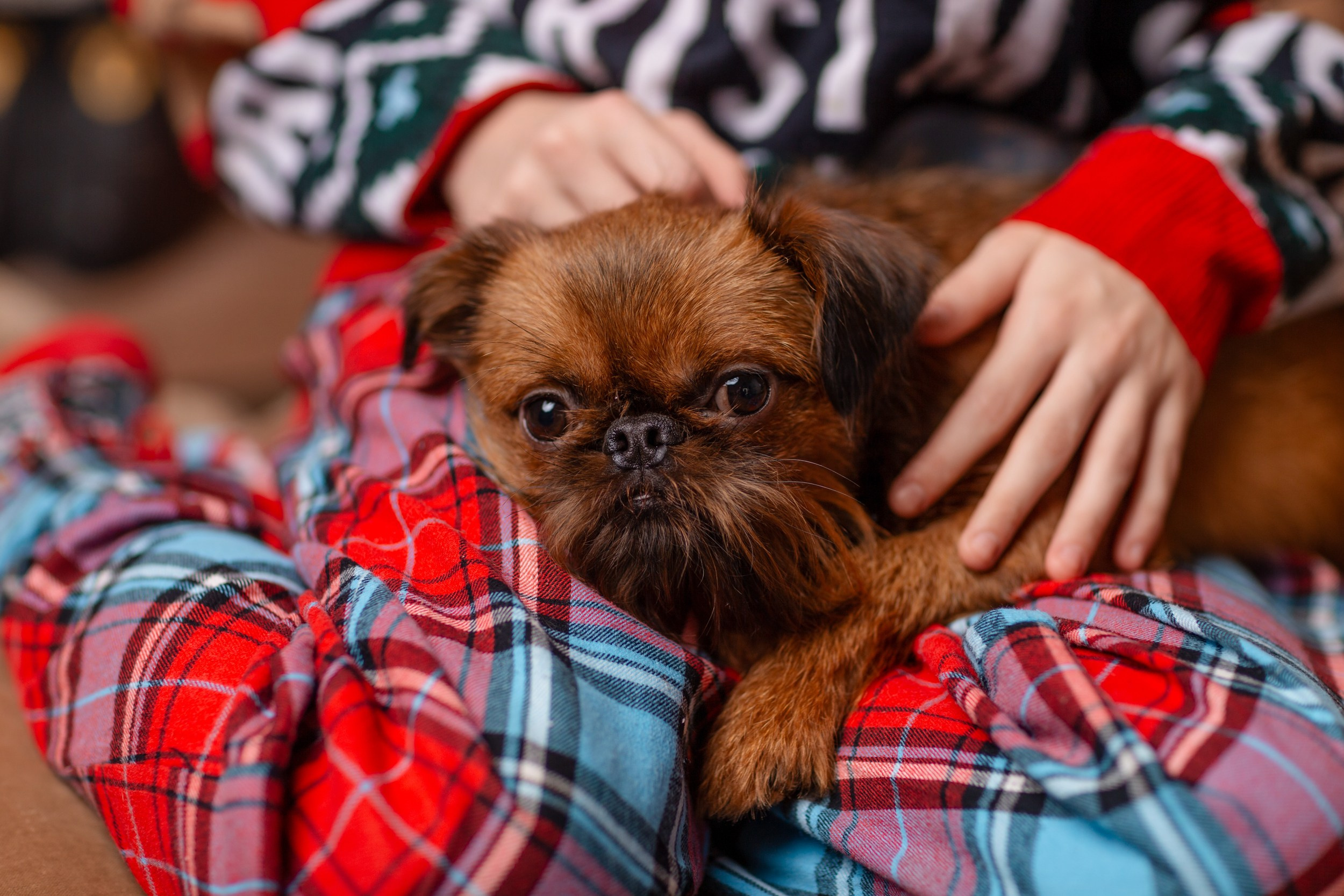 Новогодние фотосессии 2025/2026. Истории