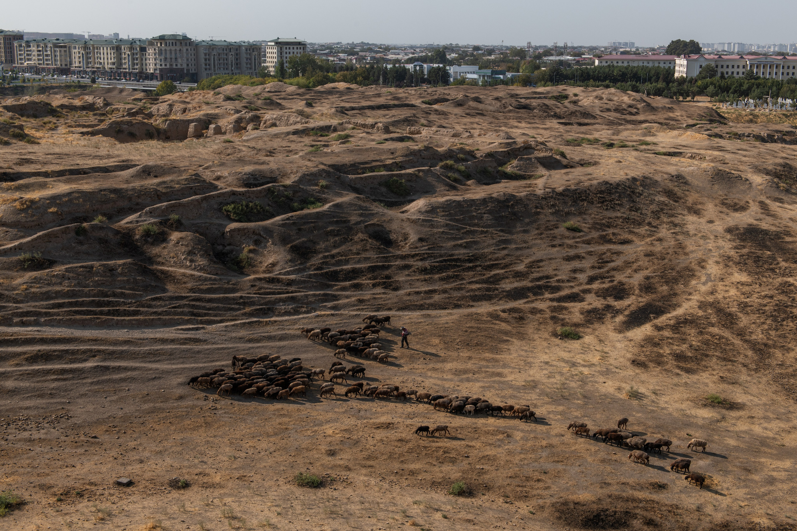 Узбекистан. Самарканд. Репортажный, спортивный и документальный фотограф в Ташкенте Алексей Елисеев