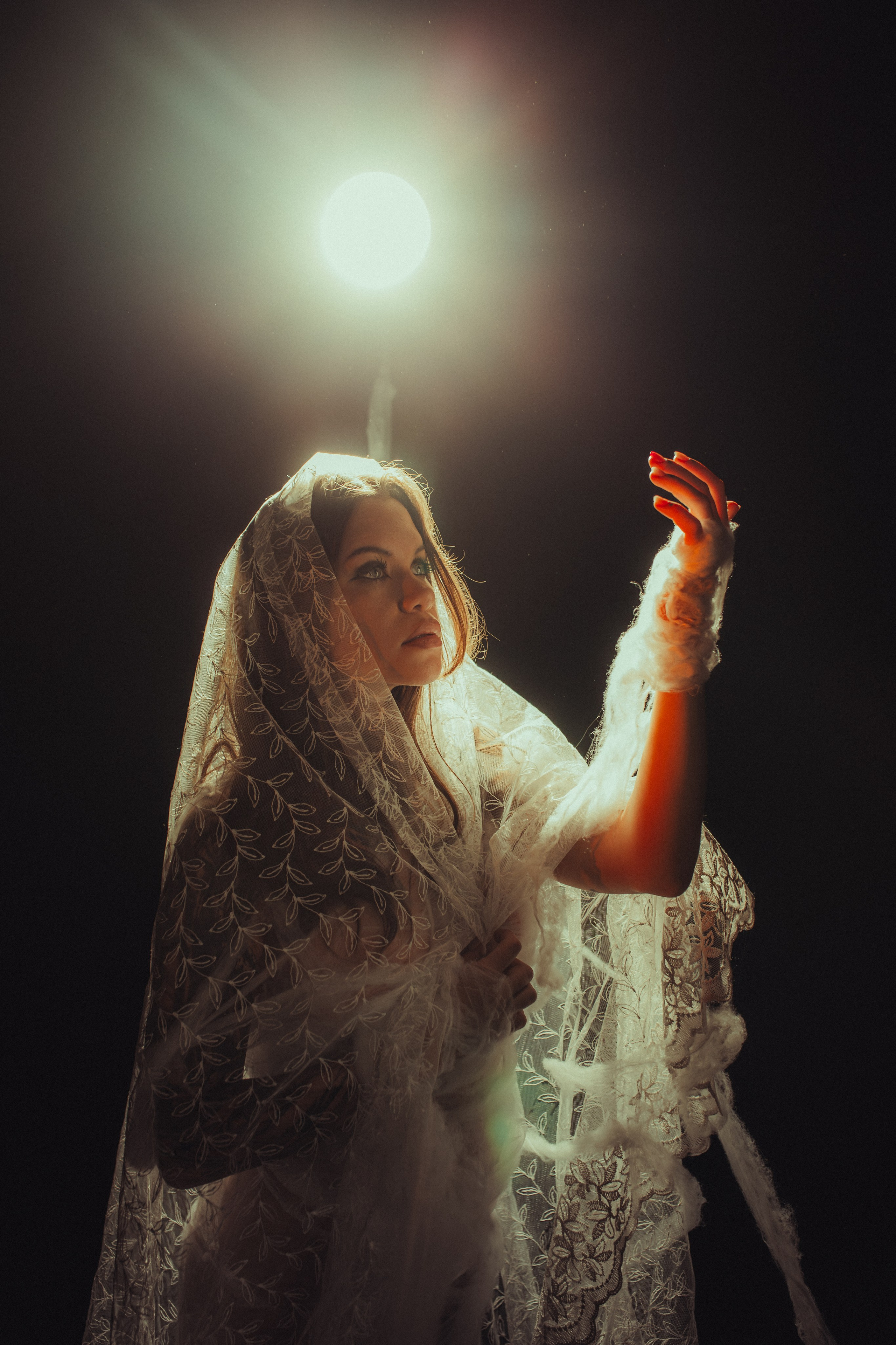 Diibae spider. Фотограф из Санкт-Петербурга Валерия Ленских