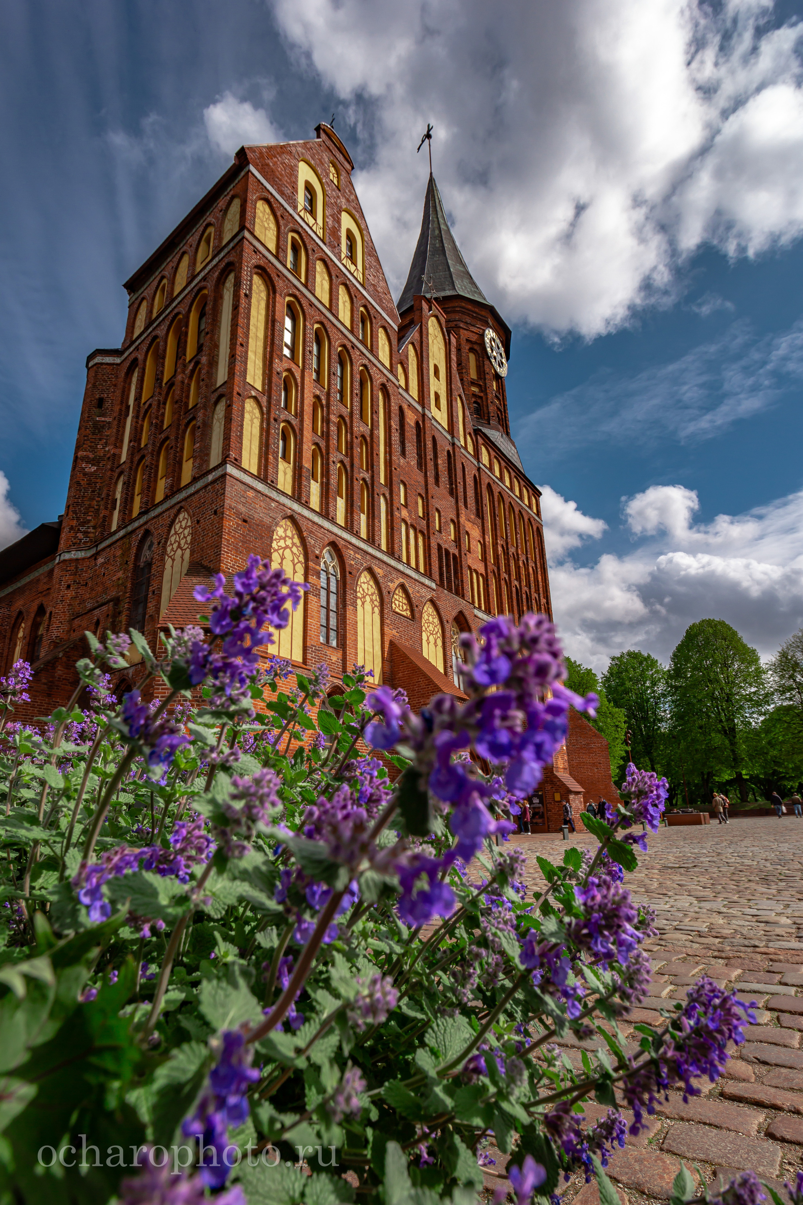 Кафедральный собор. Остров Канта. Калининград. Калининградская область. Россия. Кнайпхоф. Кенигсберг. Восточная Пруссия