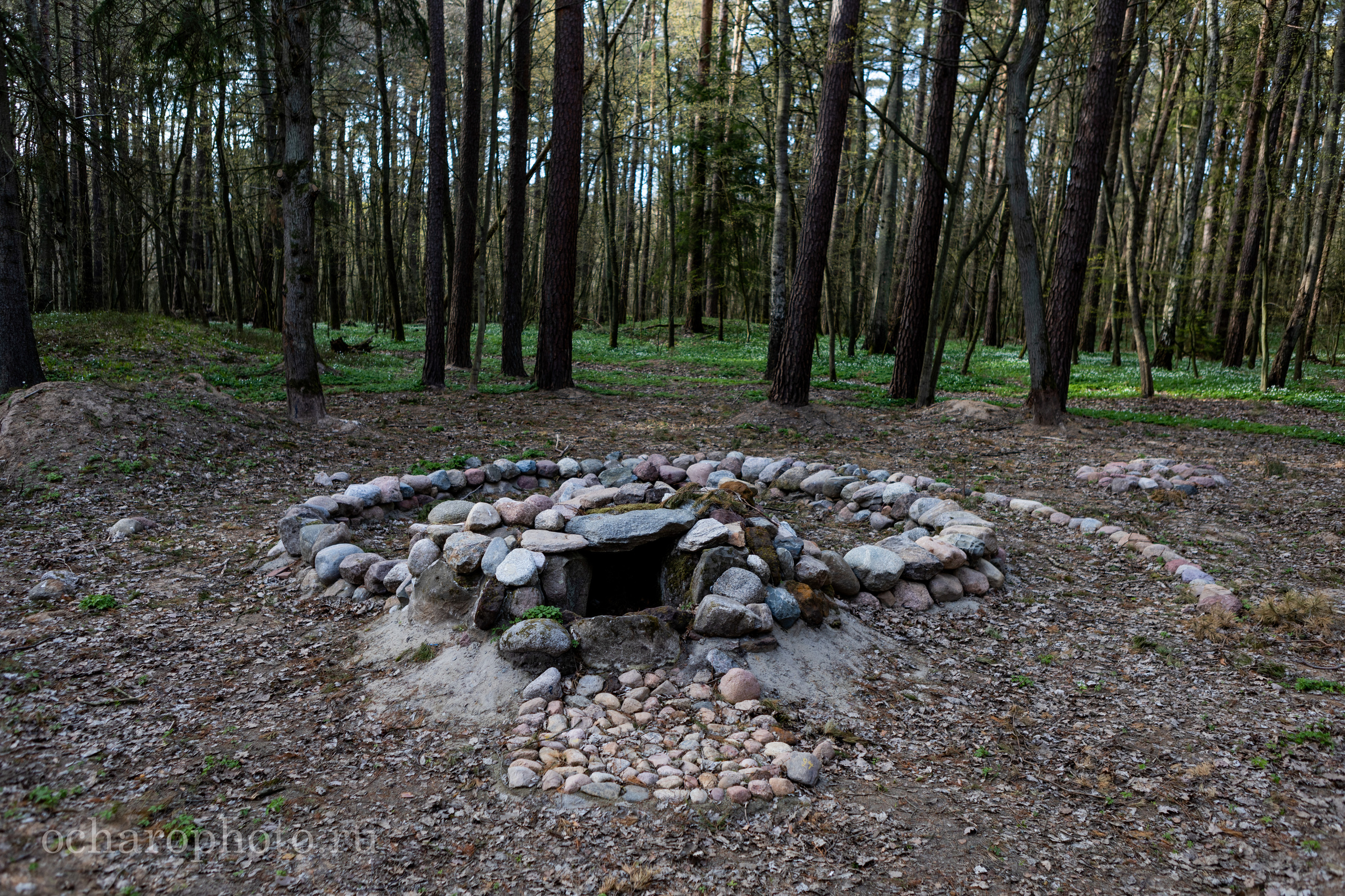 Отрадное (Георгенсвальде). AI-контент (генерации ИИ-фото и видео), стоковые фотографии Калининградской области