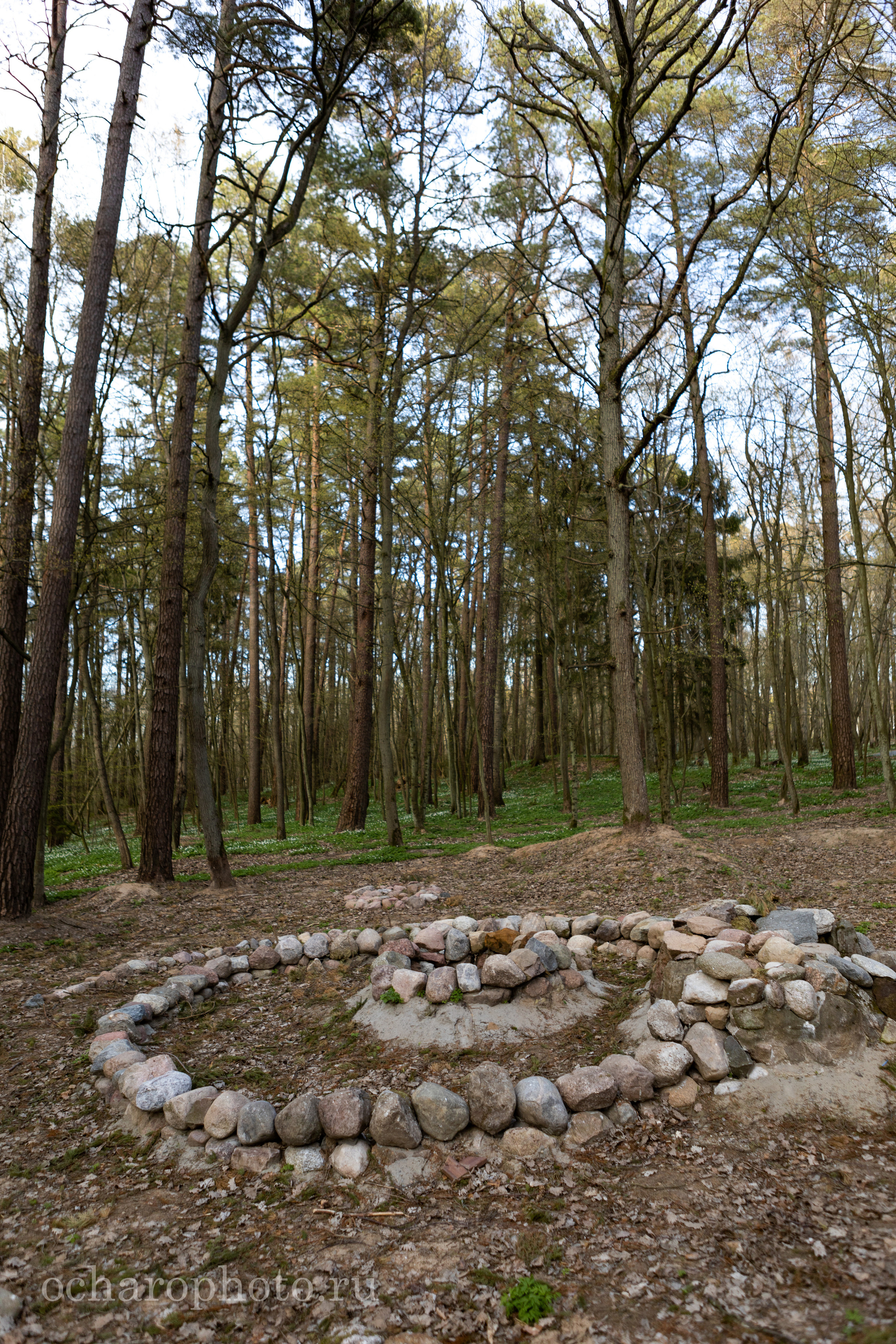 Отрадное (Георгенсвальде). AI-контент (генерации ИИ-фото и видео), стоковые фотографии Калининградской области