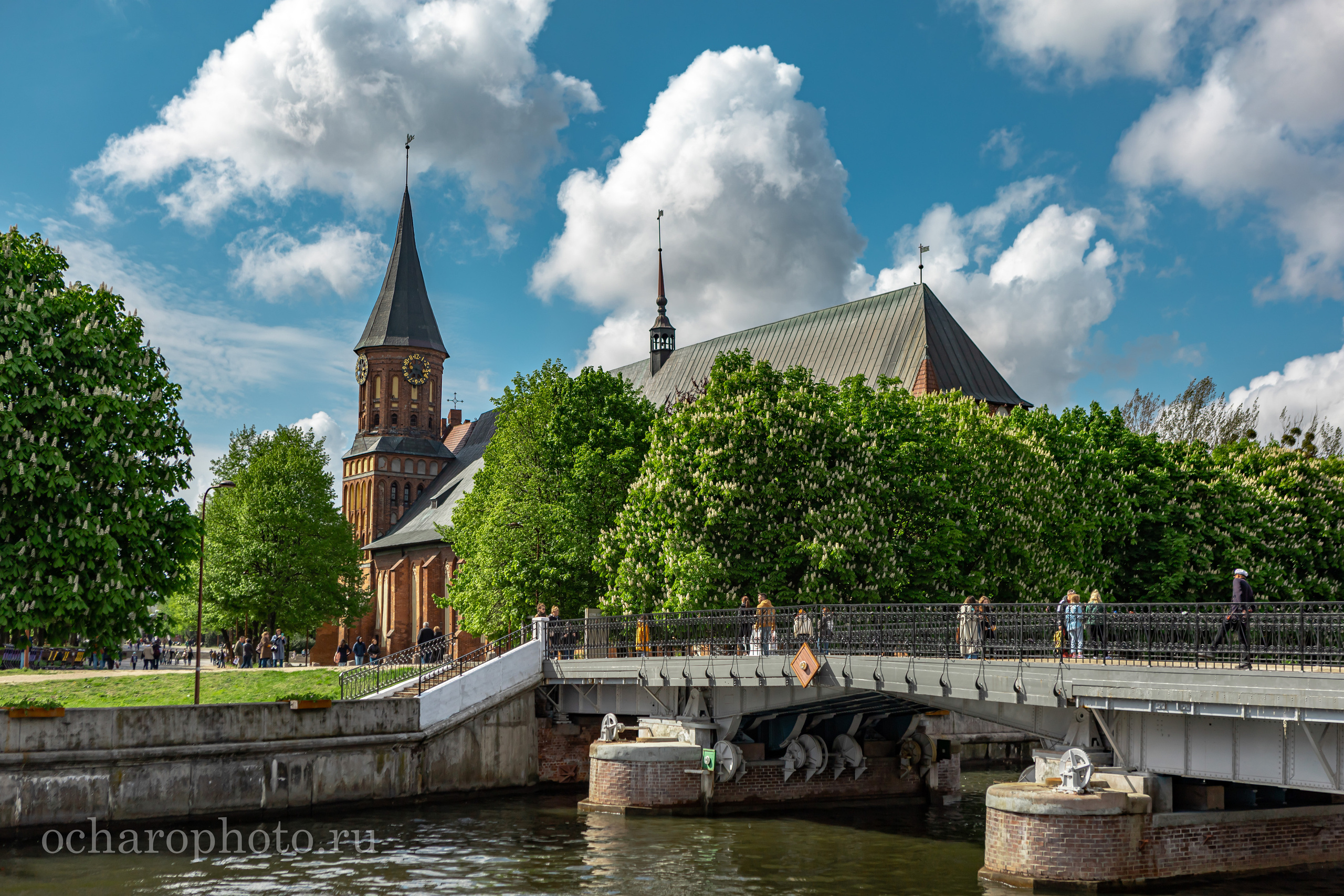 Кафедральный собор. Остров Канта. Калининград. Калининградская область. Россия. Кнайпхоф. Кенигсберг. Восточная Пруссия