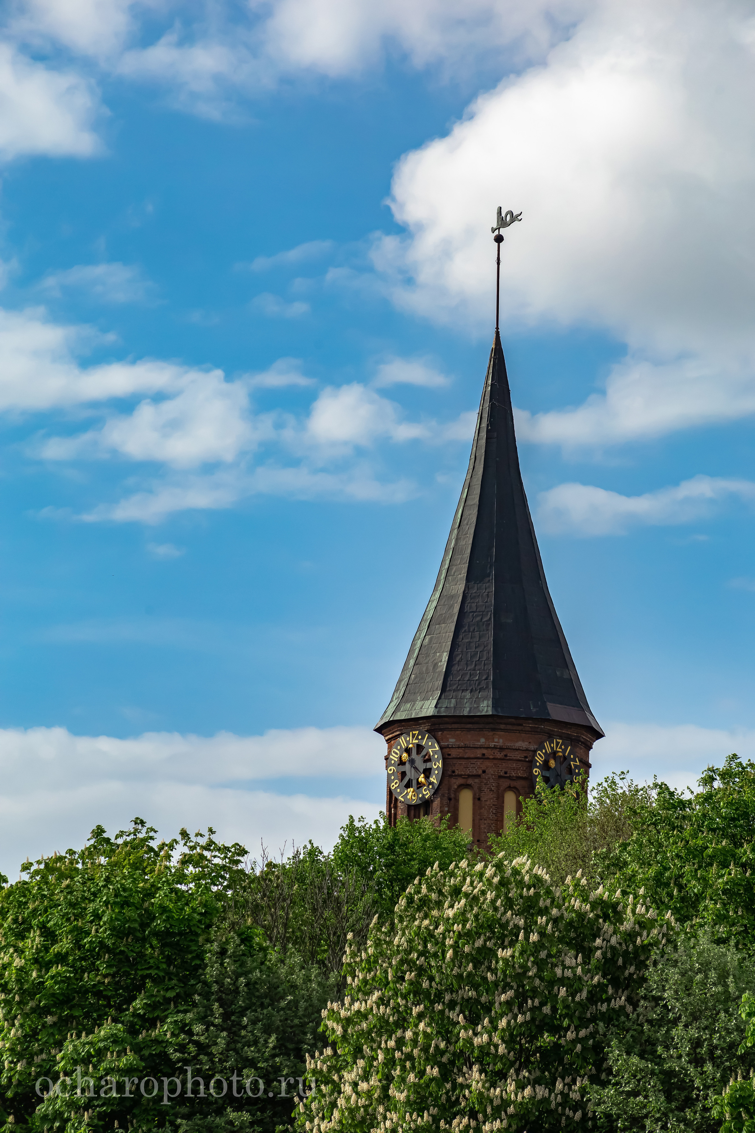 Кафедральный собор. Остров Канта. Калининград. Калининградская область. Россия. Кнайпхоф. Кенигсберг. Восточная Пруссия