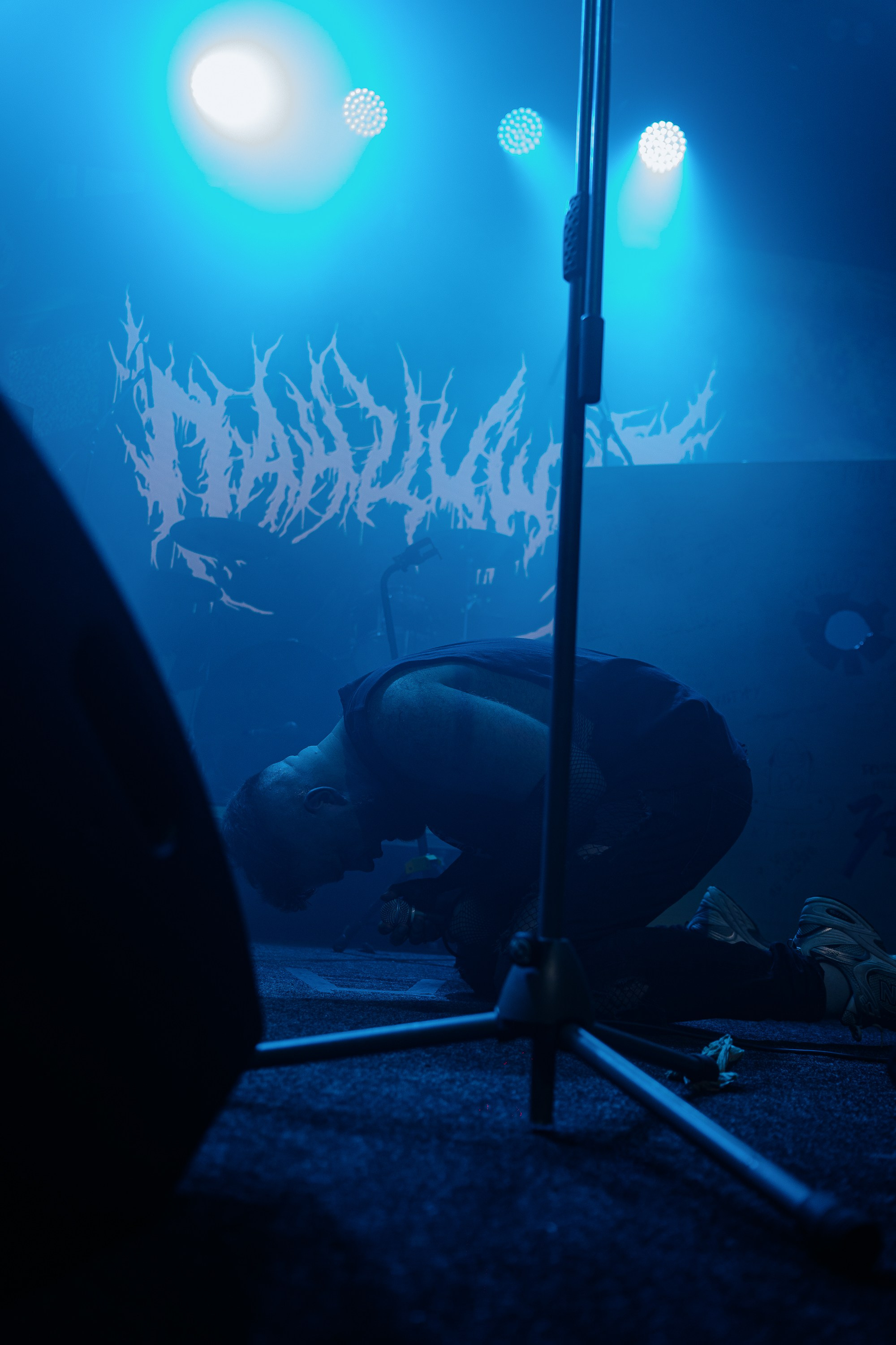 Панцушот. Рассвет. 04.10.2025. Главная