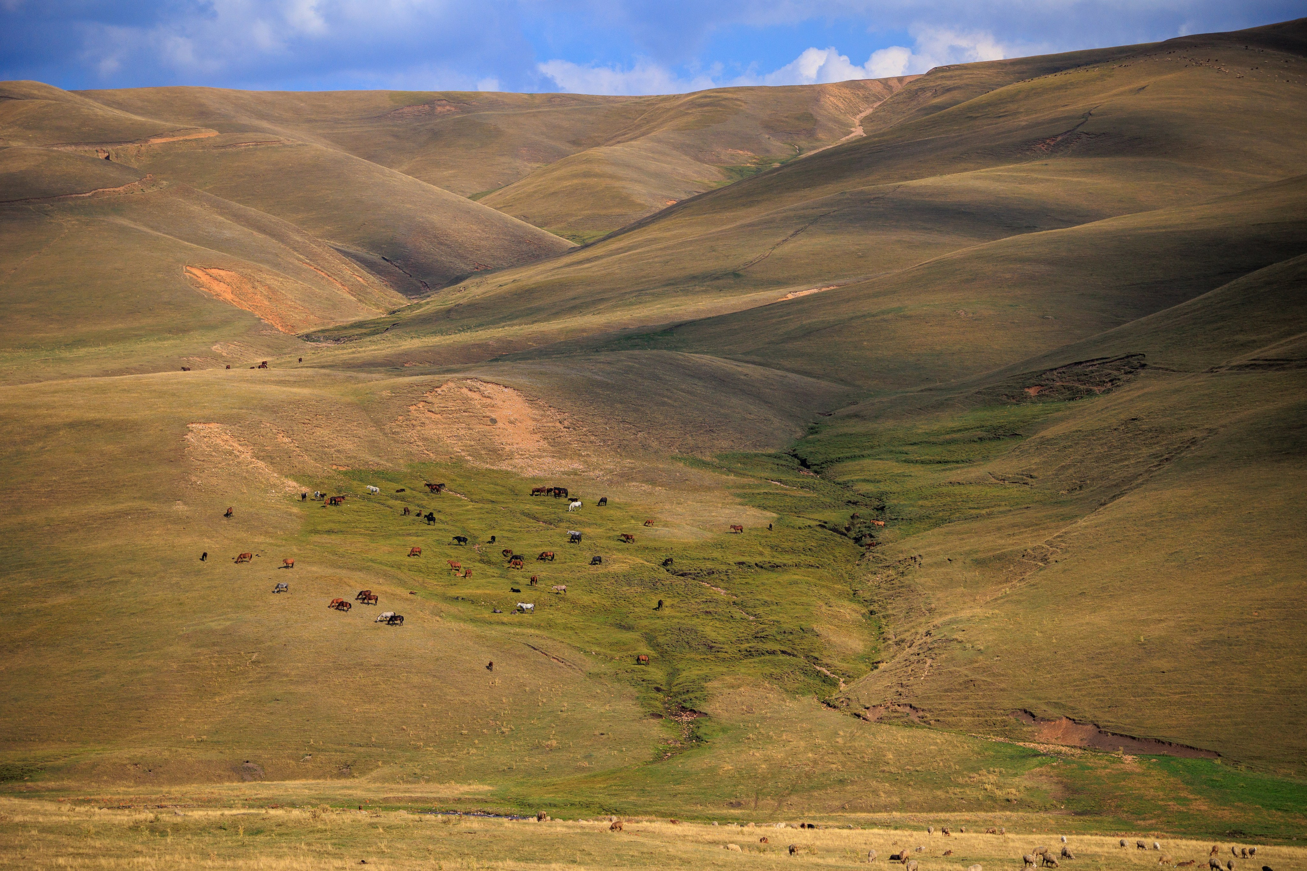 Поездка на плато Ассы и за пределами. Экскурсии и туры по Алматы