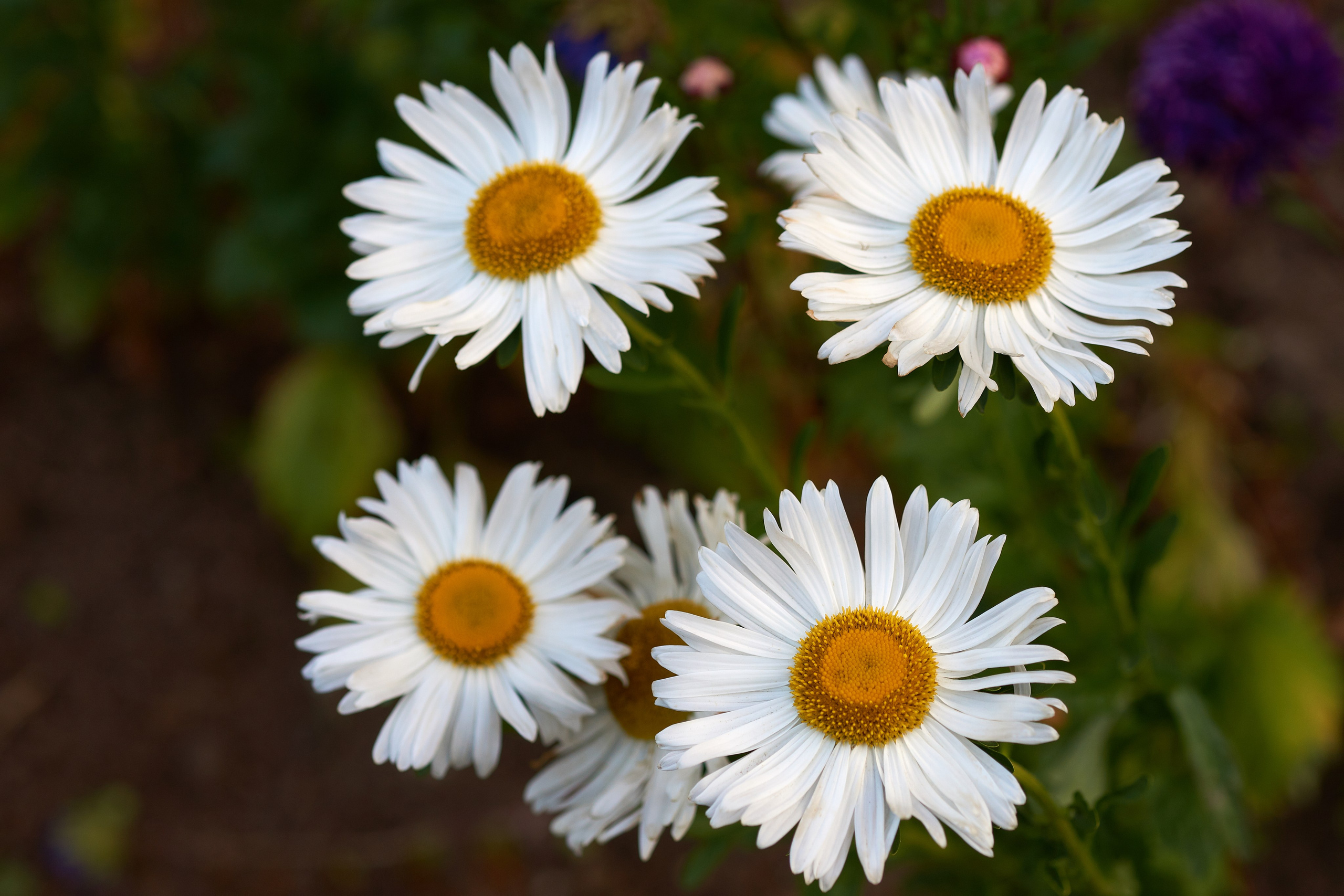 Наша мать — природа. Фотограф Владимир Артамонов