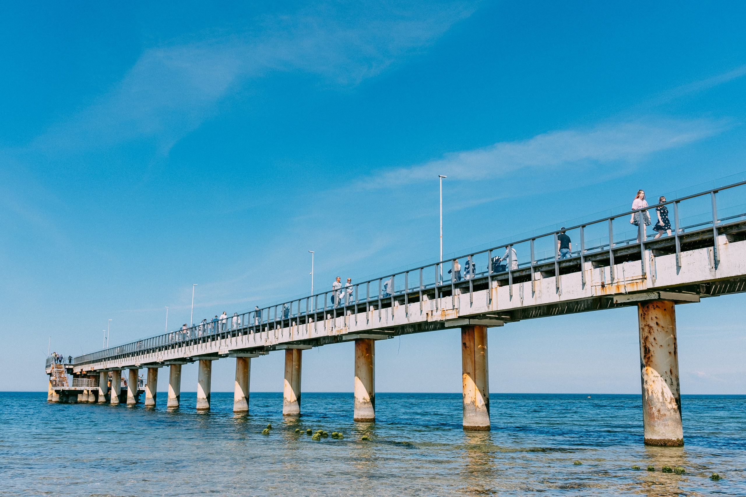 Зеленоградск. Аня Степанова