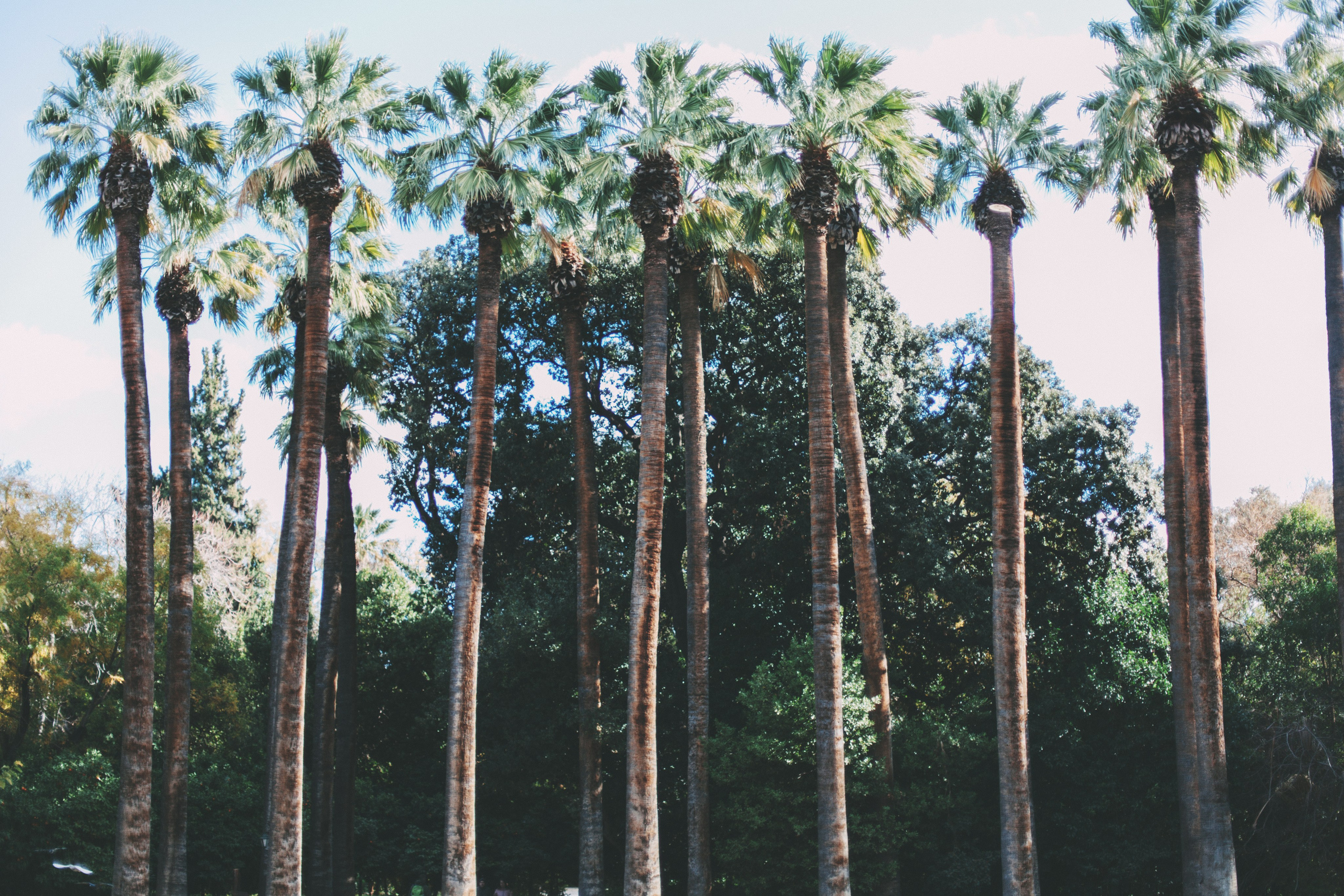 Афины. Аня Степанова