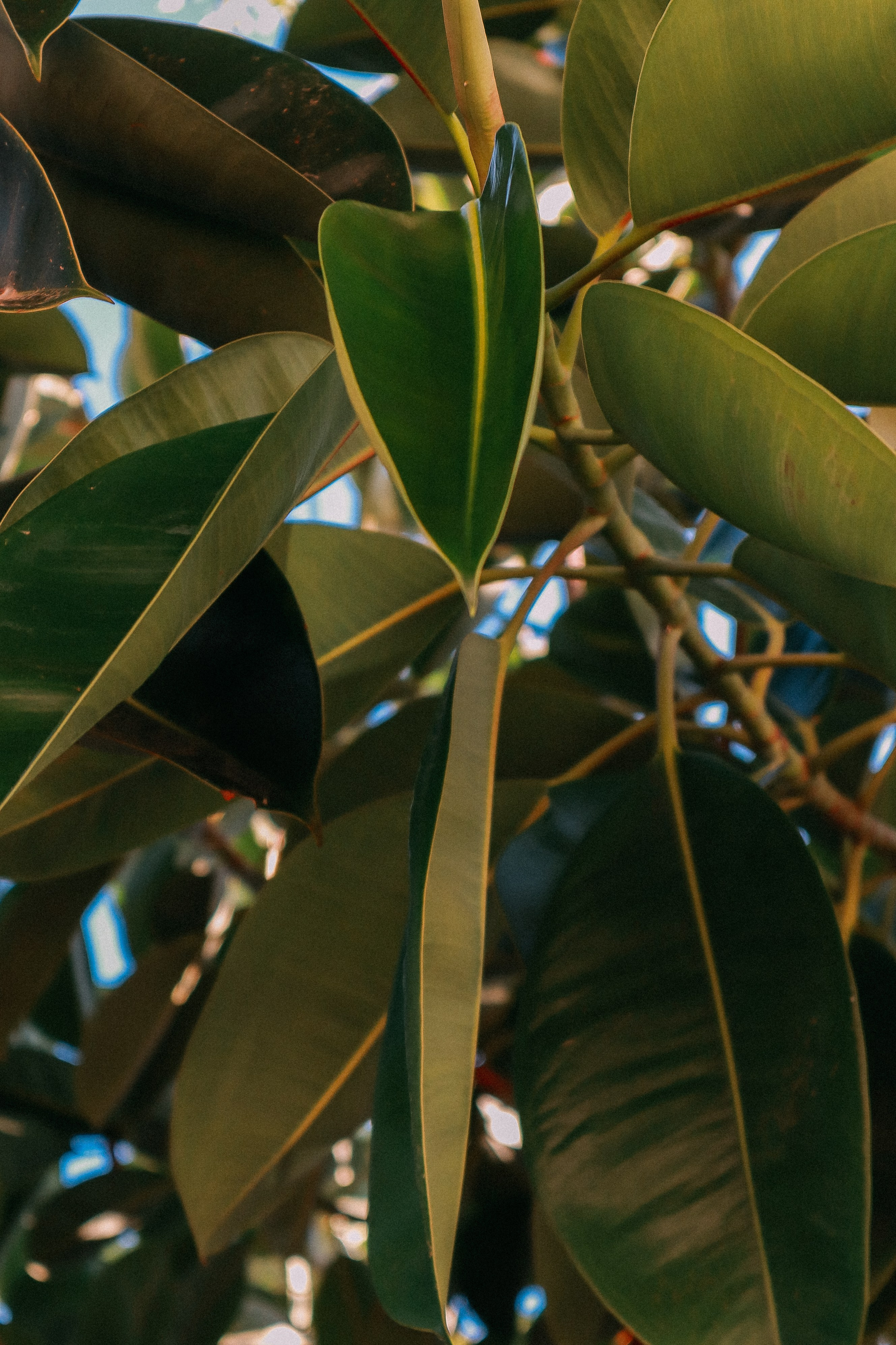 Крит. Аня Степанова