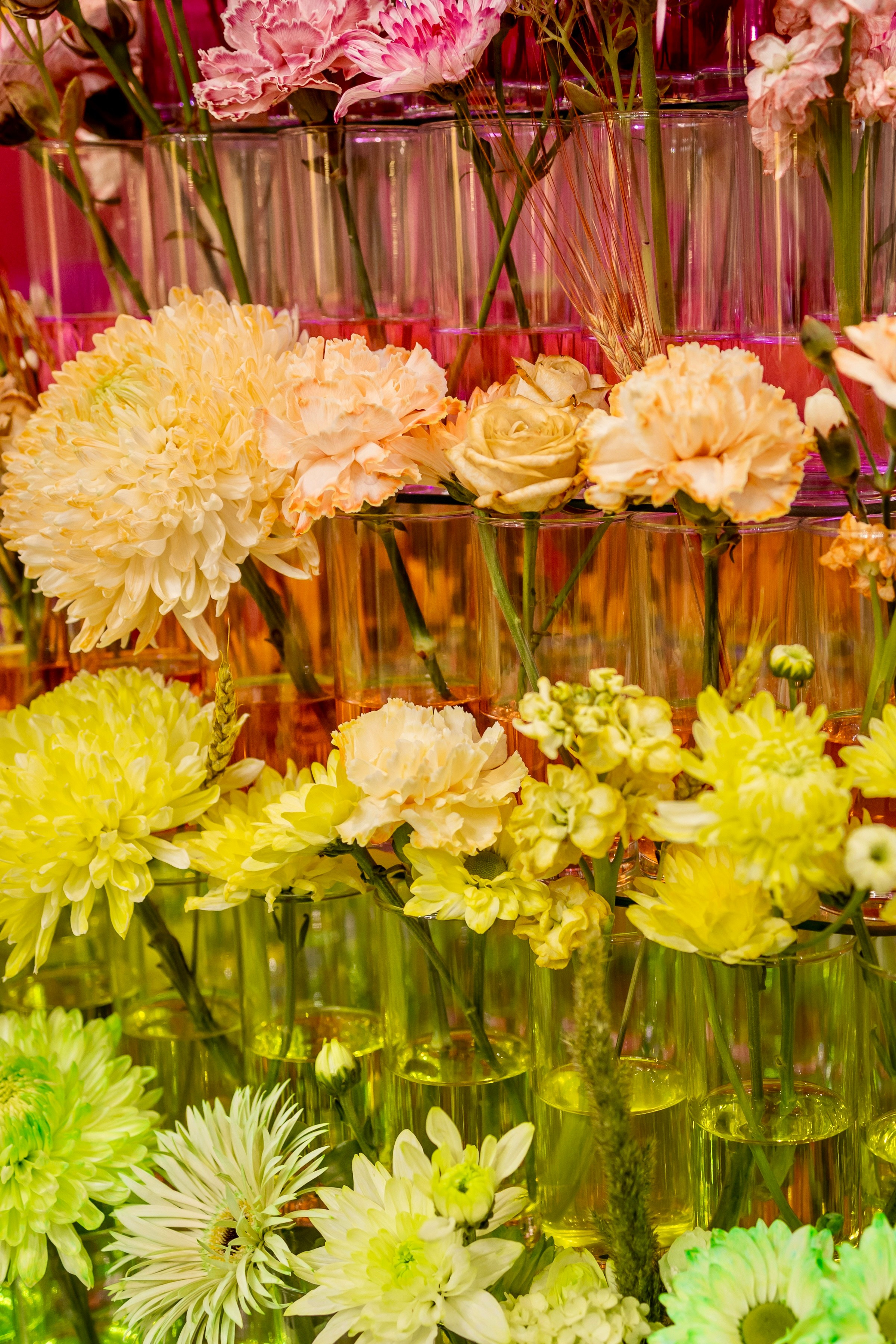 Цветы-Экспо 2025. Фотосессии и репортаж — Фотограф в Москве — Рина Серёгина