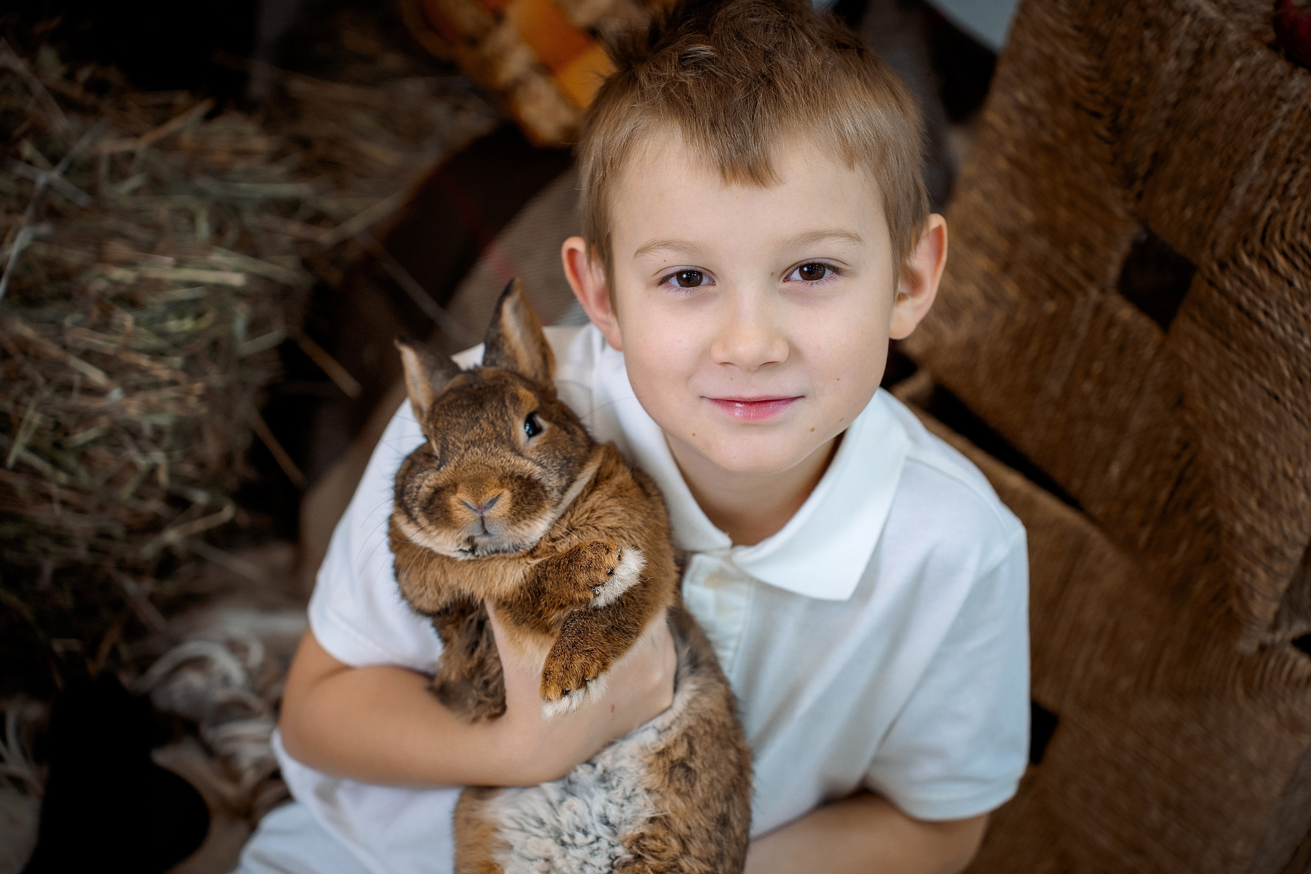 Кролик. Фотограф Казакова Анастасия