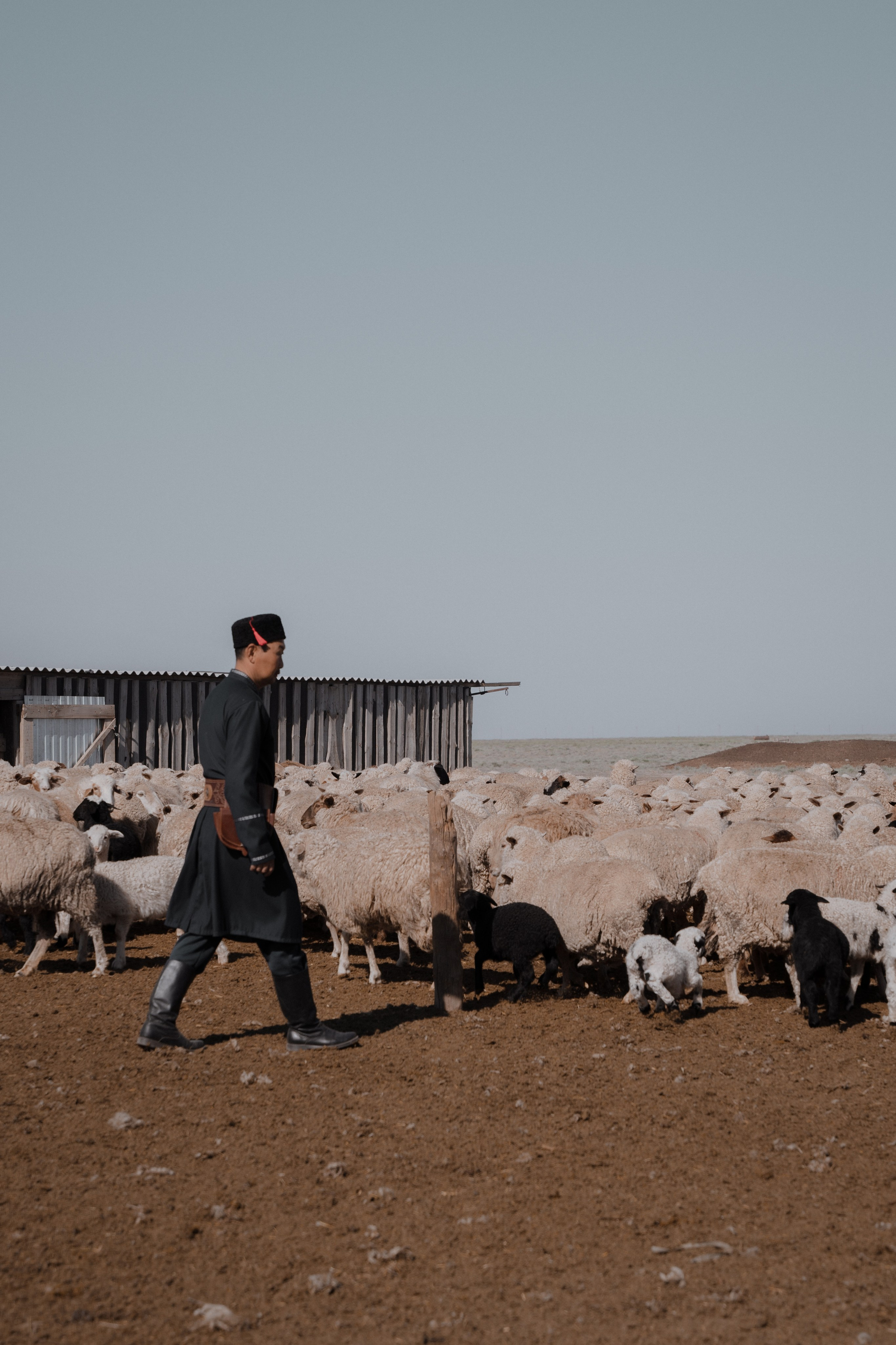 Калмыкия I Май 2024. Commercial photographer Natalia Bychkova