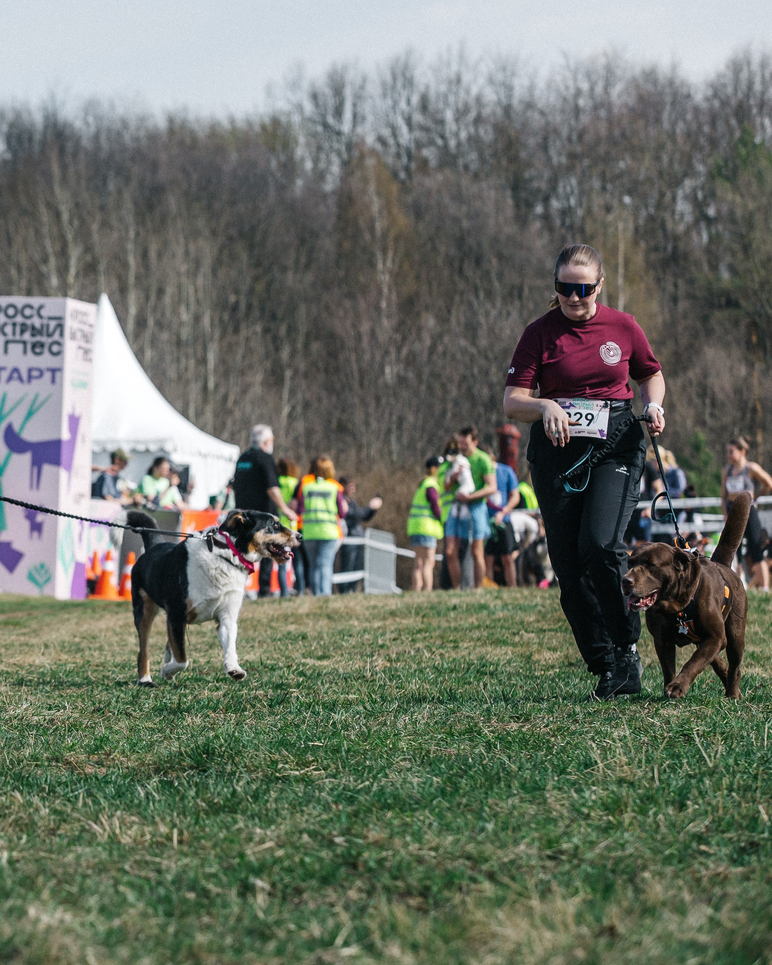Кросс «Быстрый пёс» 2025. Репортажный фотограф в Москве