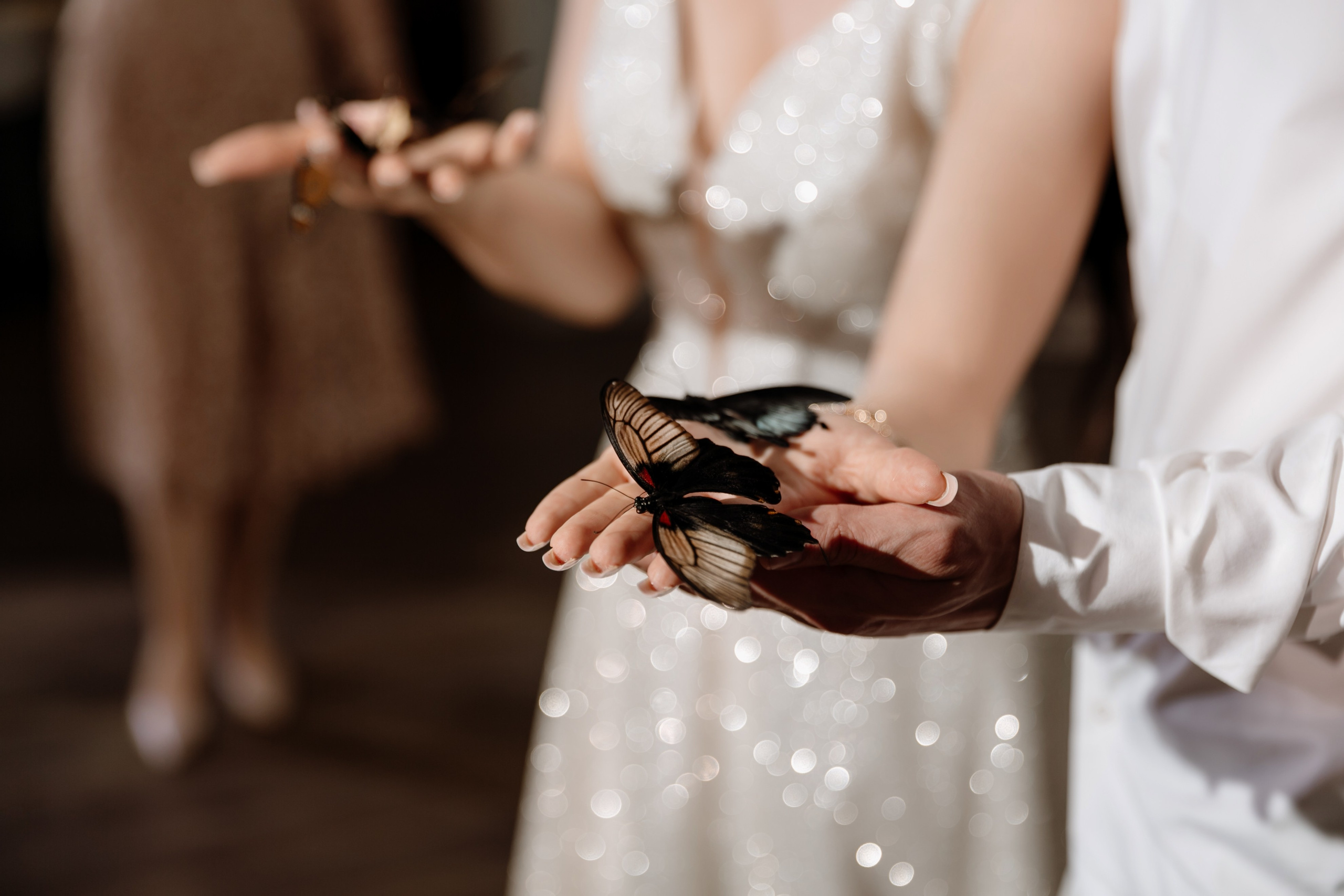 Оксана и Артём. Профессиональный фотограф Надежда Антонова